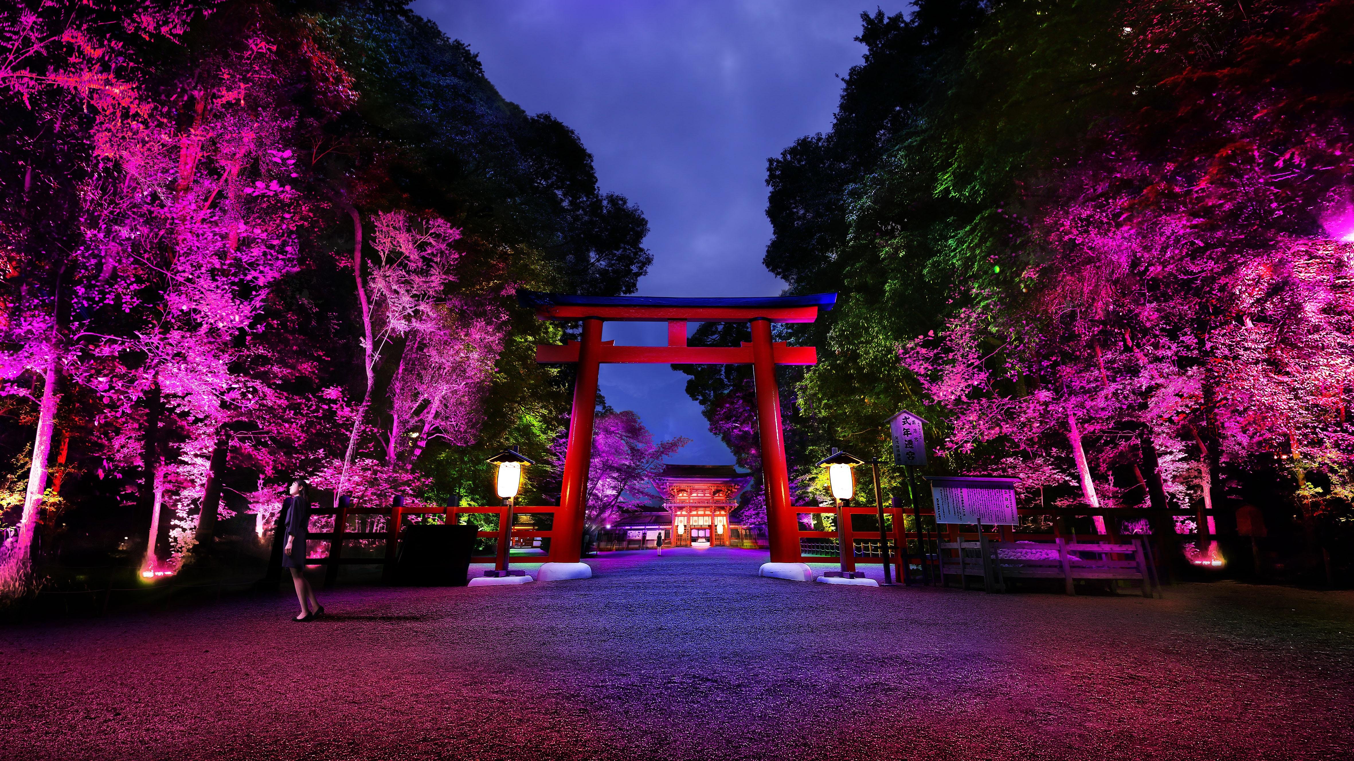 下鴨神社 糺の森の光の祭 Art by teamLab supported by beachwalkers