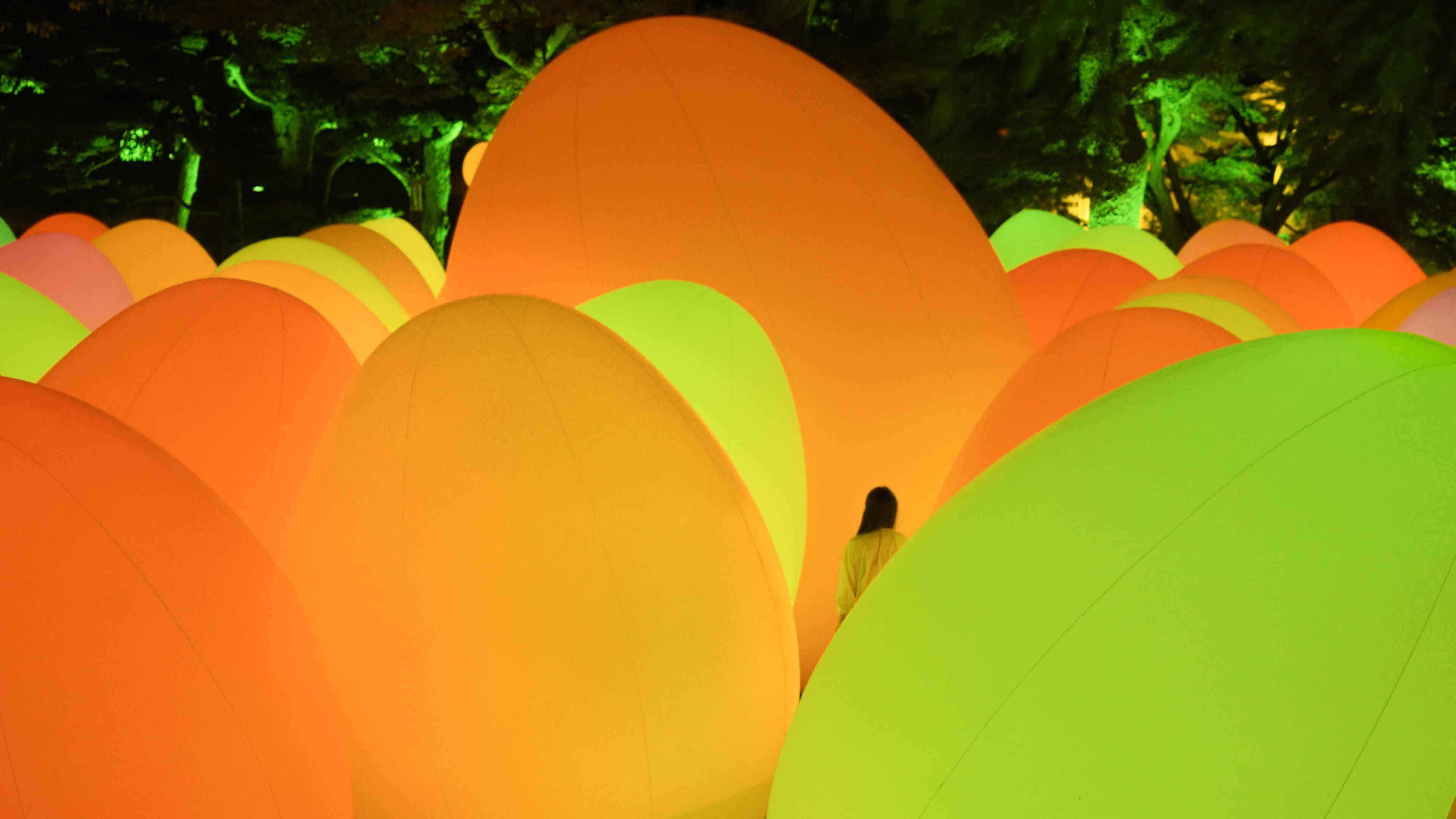 展示テーマ画像