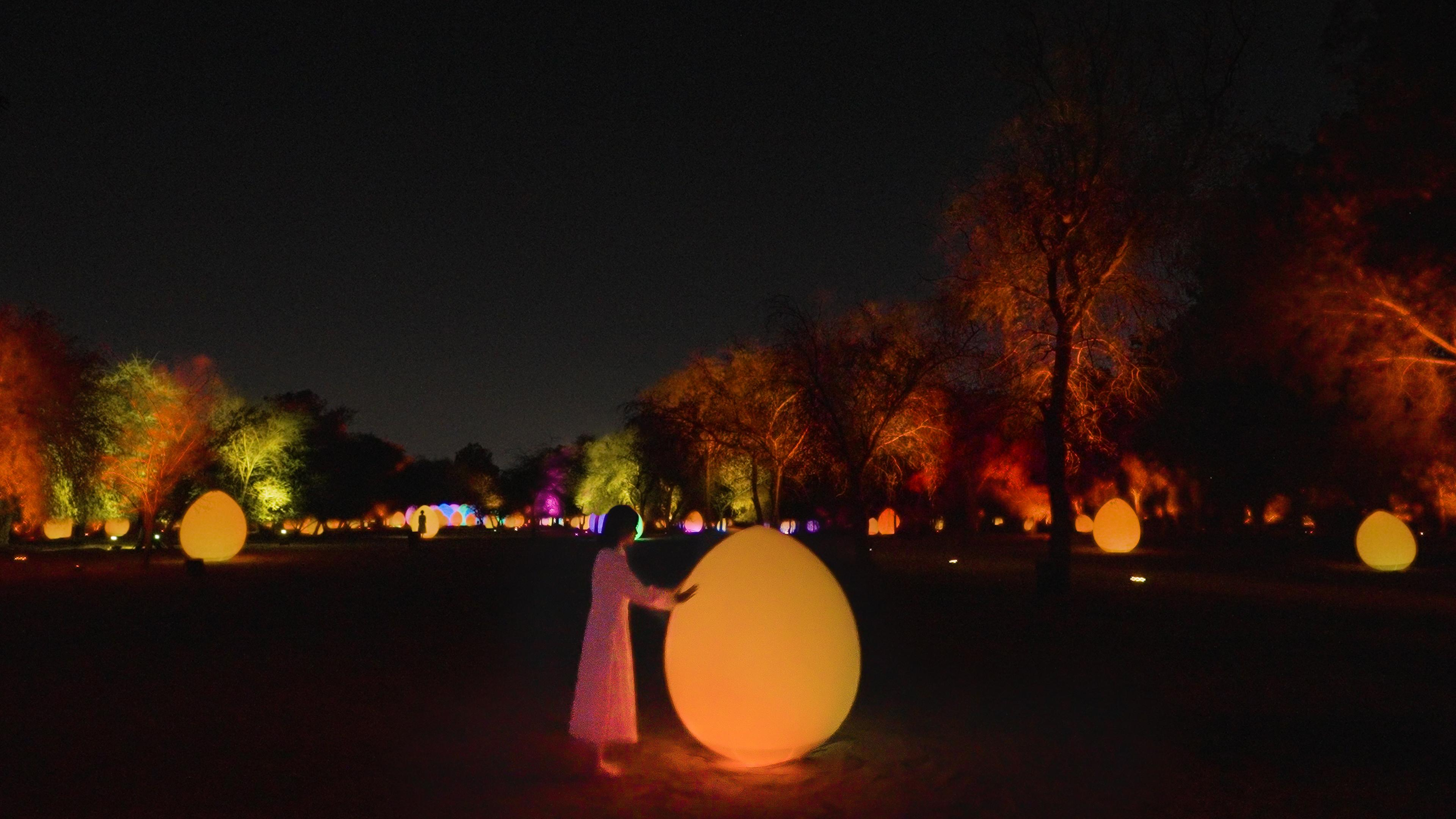 展示テーマ画像