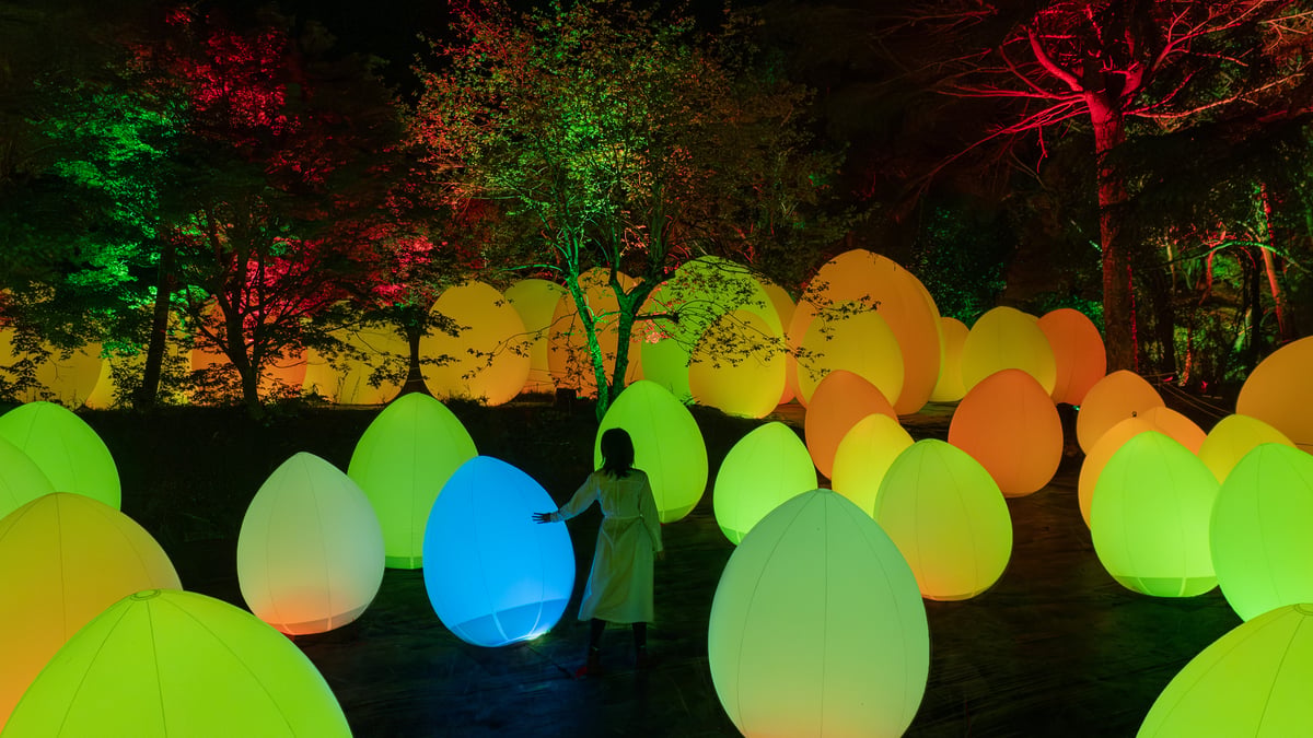 自立しつつも呼応する生命 / Autonomous Resonating Life | teamLab / チームラボ