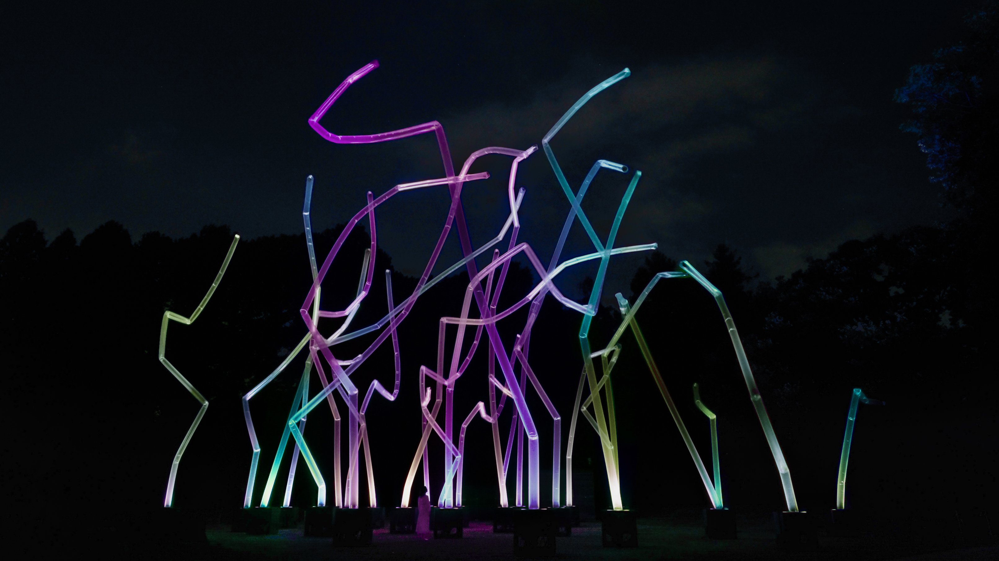 風と共に踊る柱群 / Pillars that Dance with the Wind | teamLab