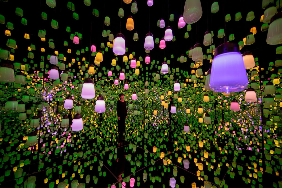 呼応するランプの森：One Stroke - Spring Mountain Fields / Forest