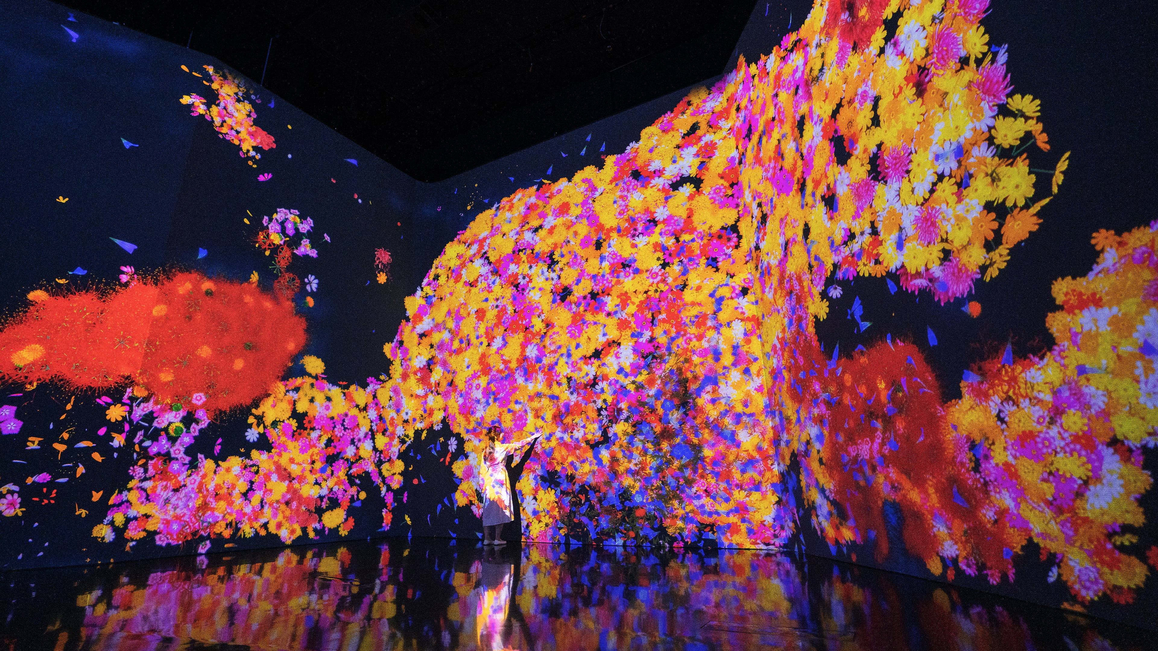 花と共に生きる動物たち / Animals of Flowers, Symbiotic Lives