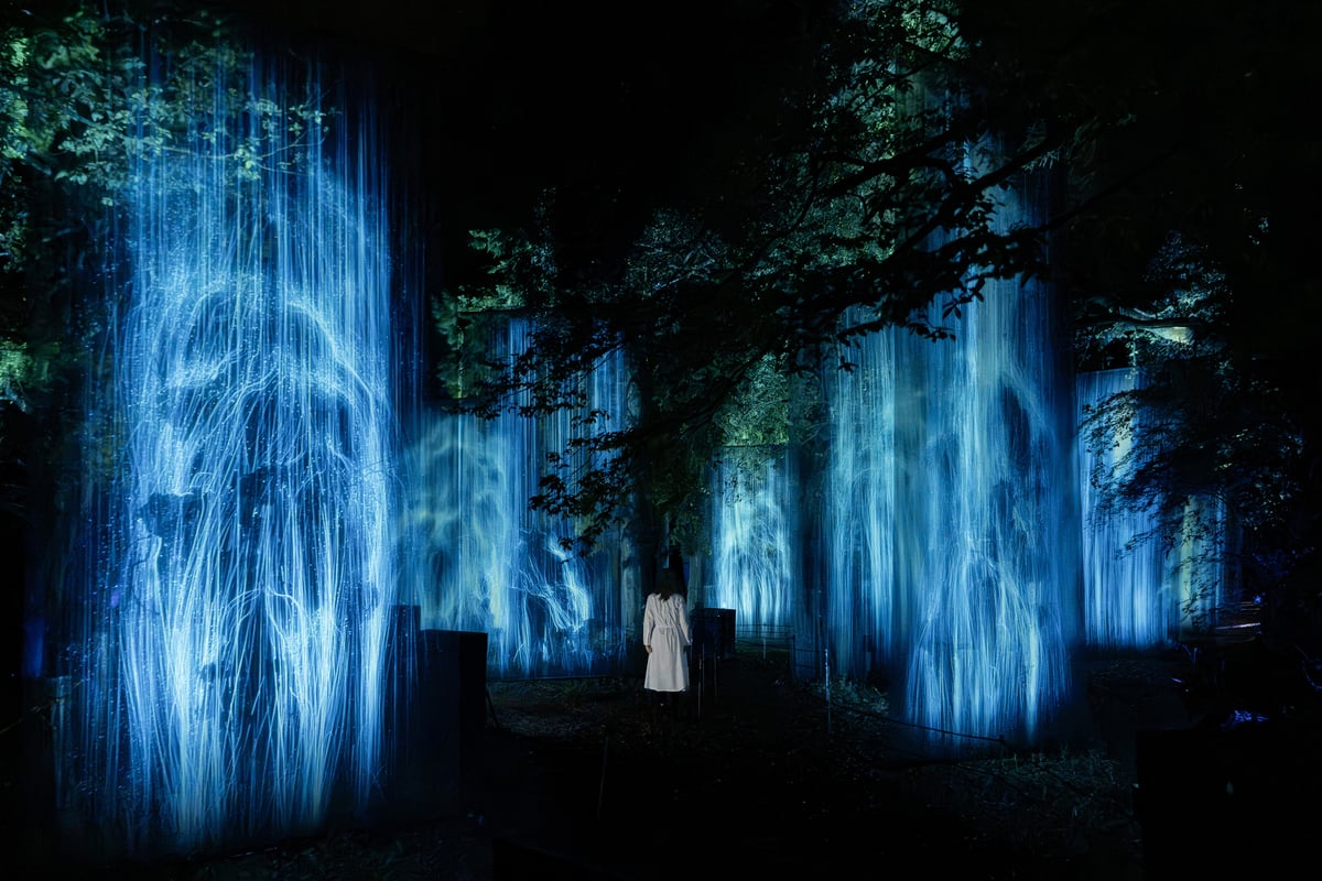 古色の森の水の幽体 / Ethereal Body of Water in the Ancient Forest