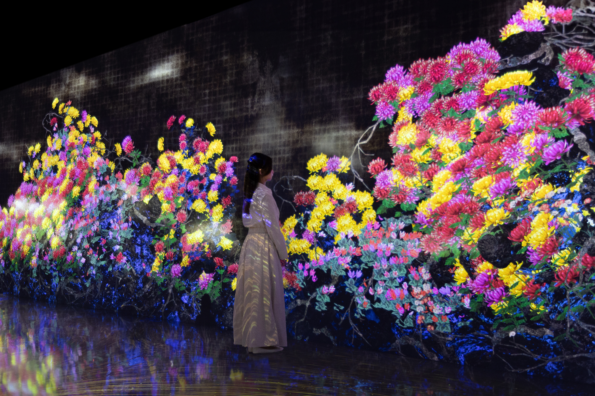 展示テーマ画像