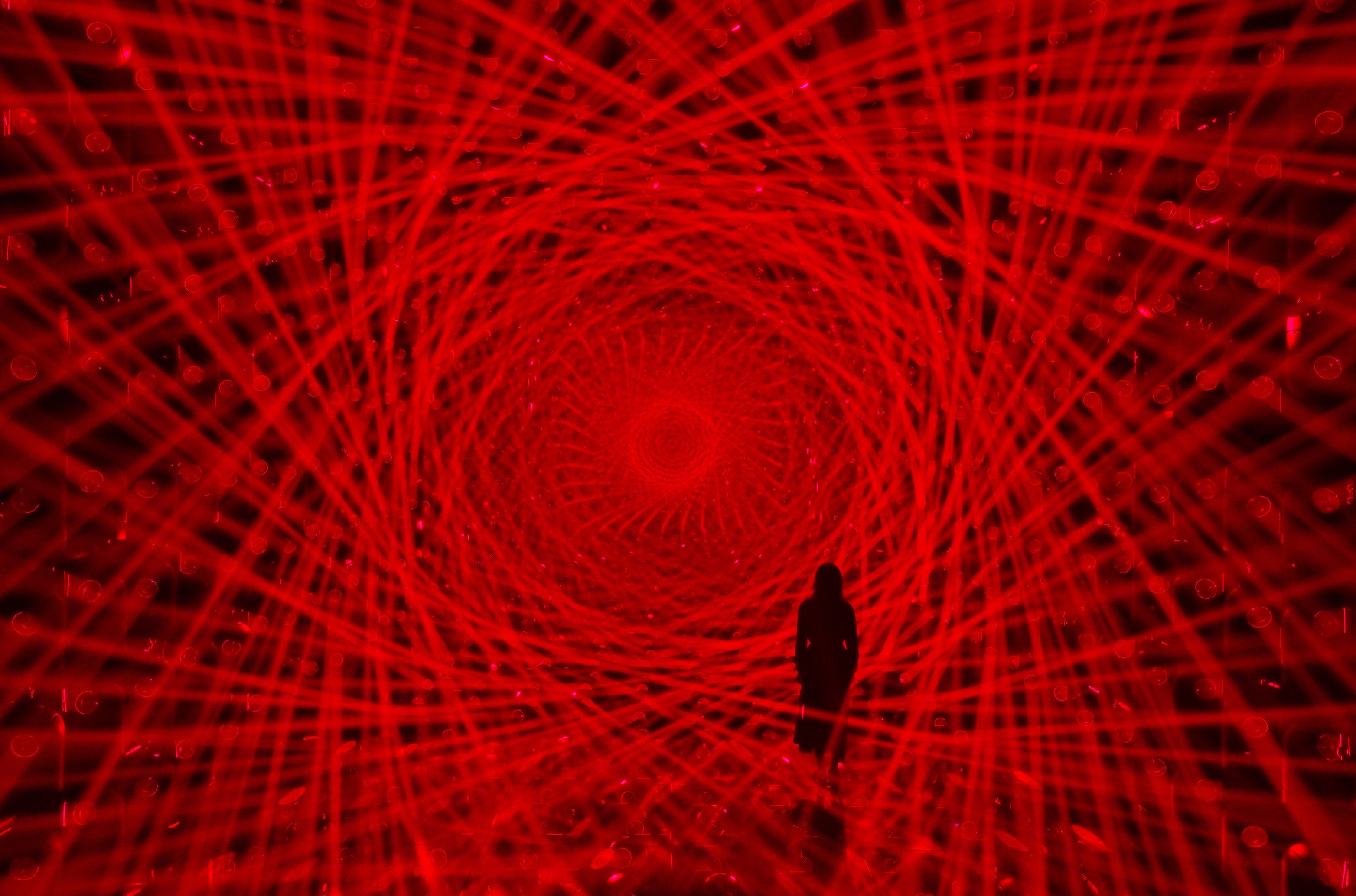 新着作品展示画像
