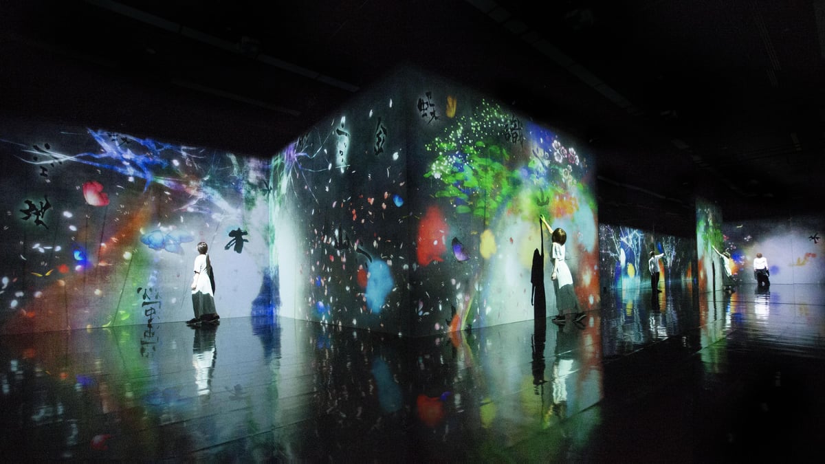 teamLab: Born From the Darkness a Loving, and Beautiful World | teamLab