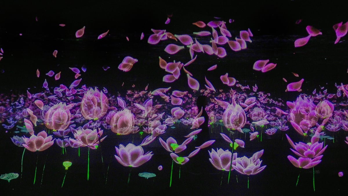 無限の透明に咲く蓮 / Flowering Lotus in Infinite Transparency