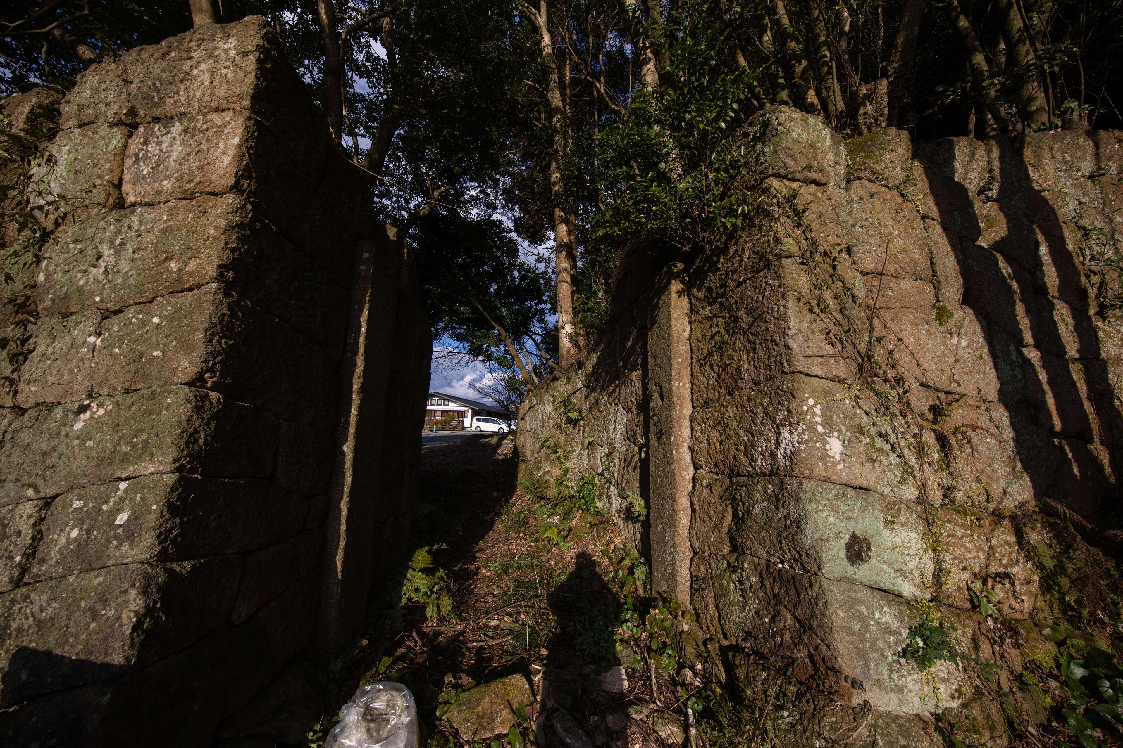 展示テーマ画像