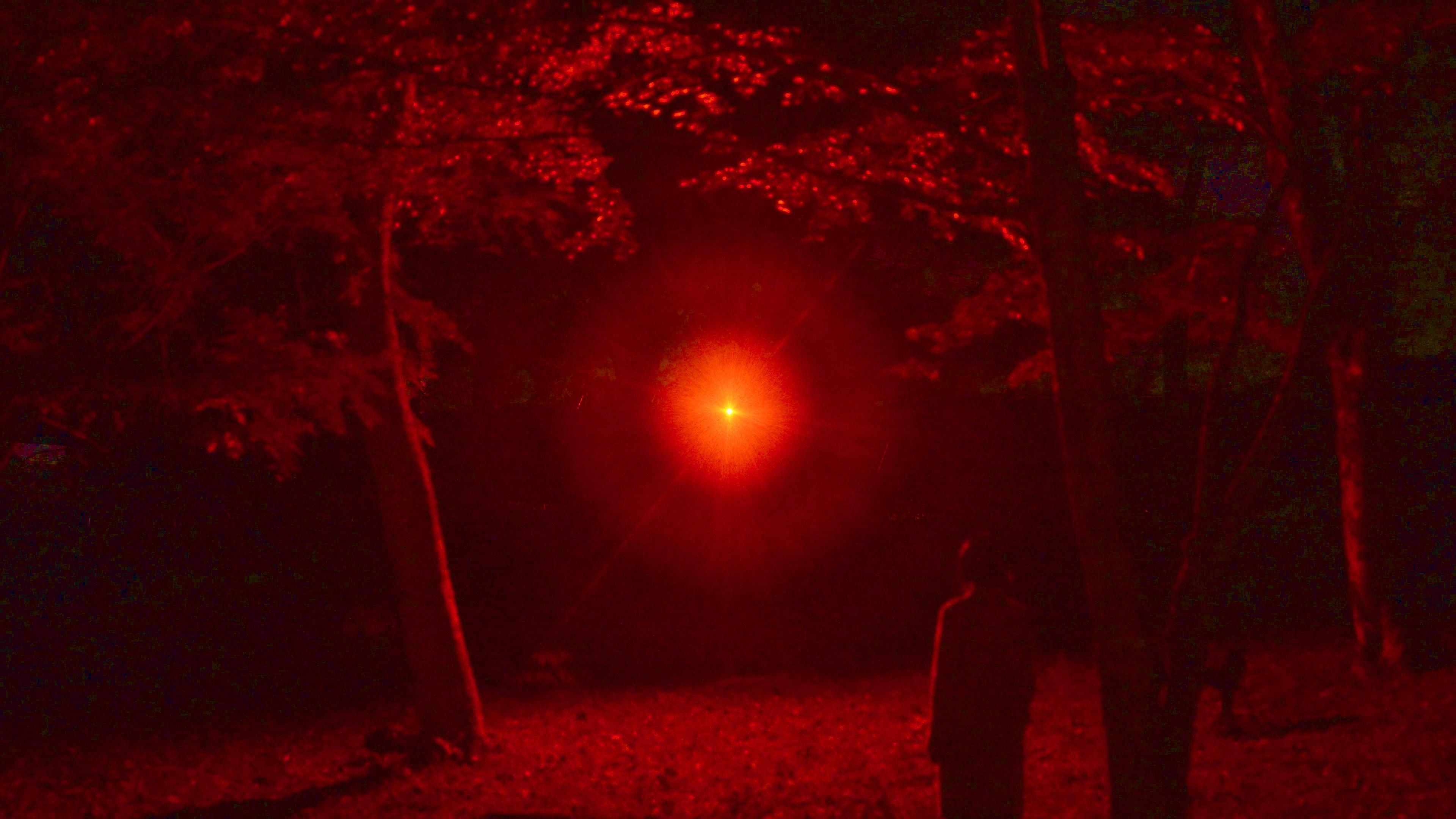 展示テーマ画像