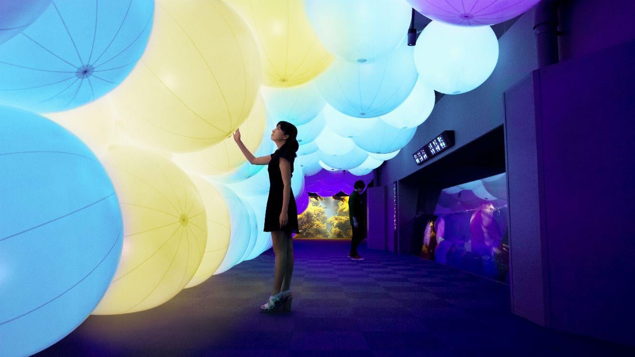 呼応する球体と夜の魚たち / Resonating Spheres and Night Fish