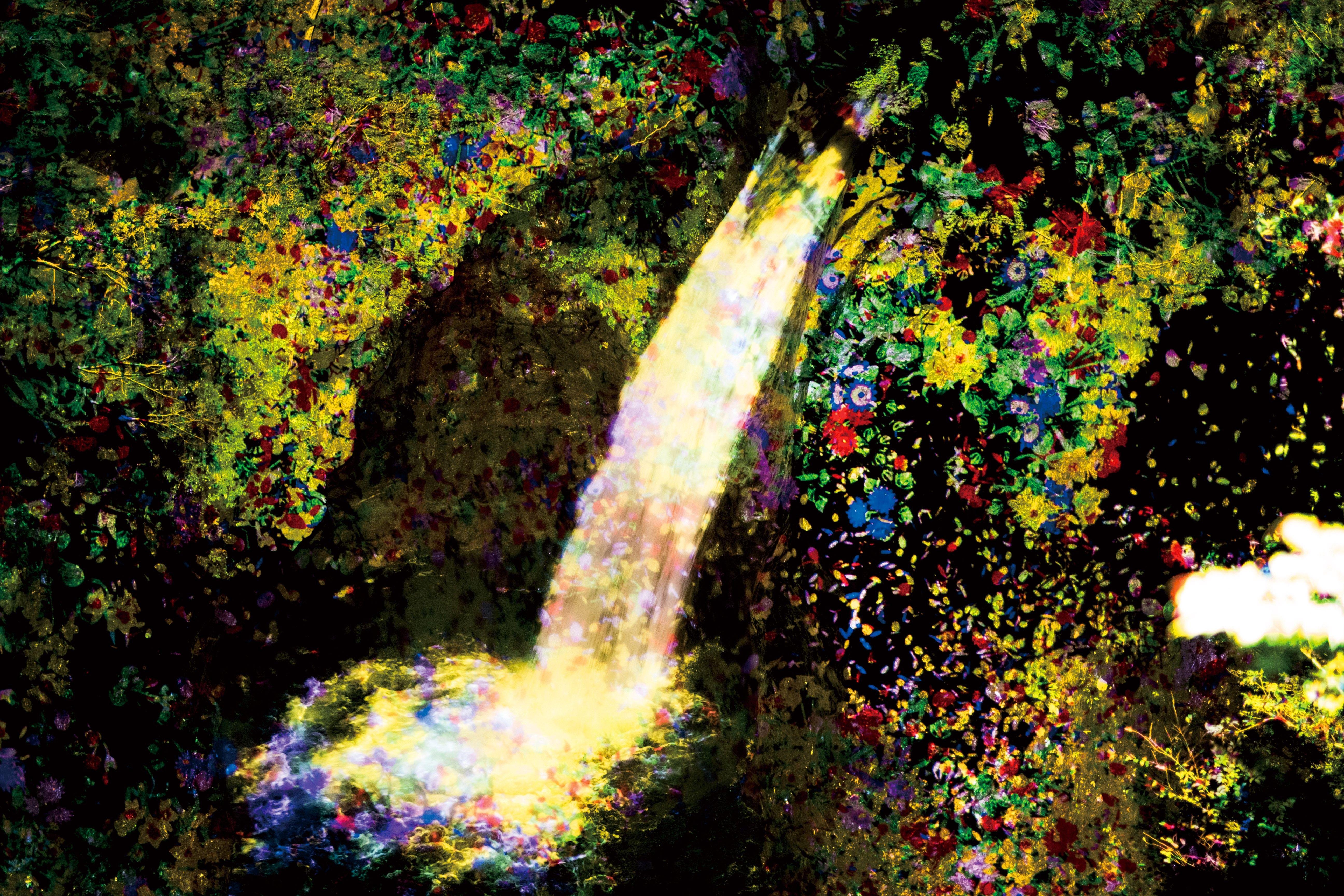 増殖する生命の滝 - 四国の山奥 / Ever Blossoming Life Waterfall