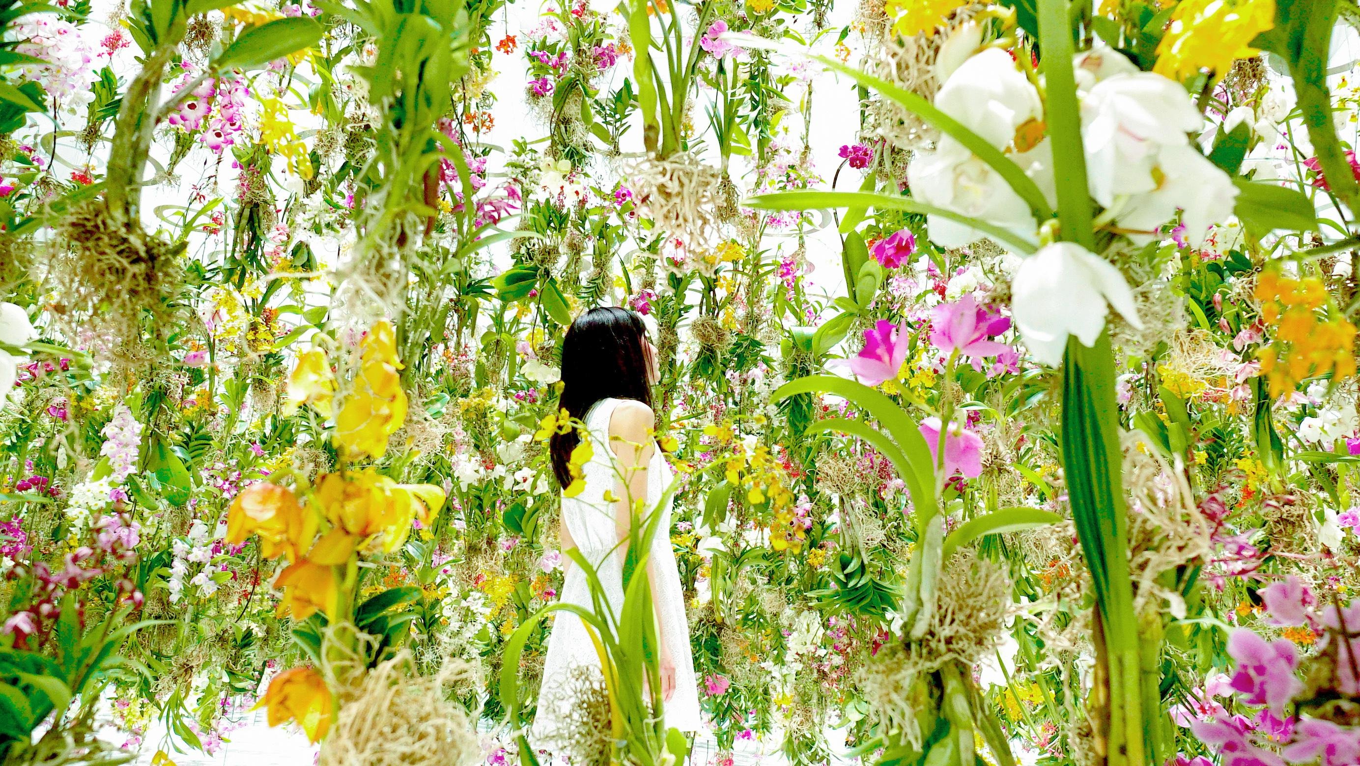 Floating Flower Garden: Flowers and I are of the Same Root, the