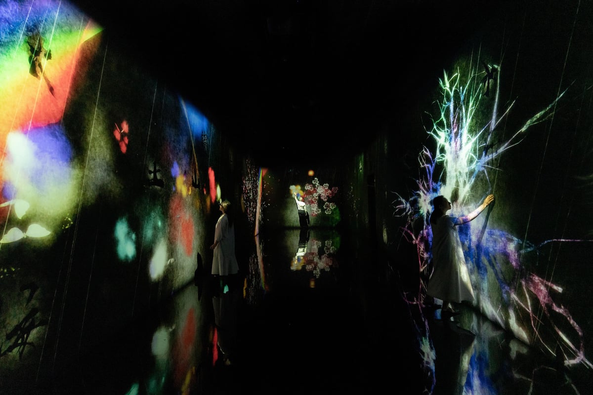 width=1200,format=jpeg