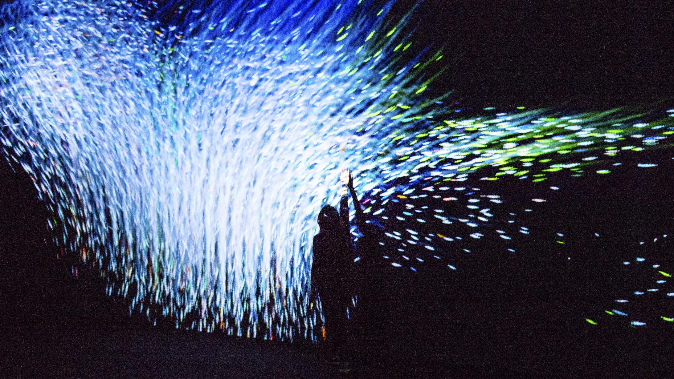 展示テーマ画像