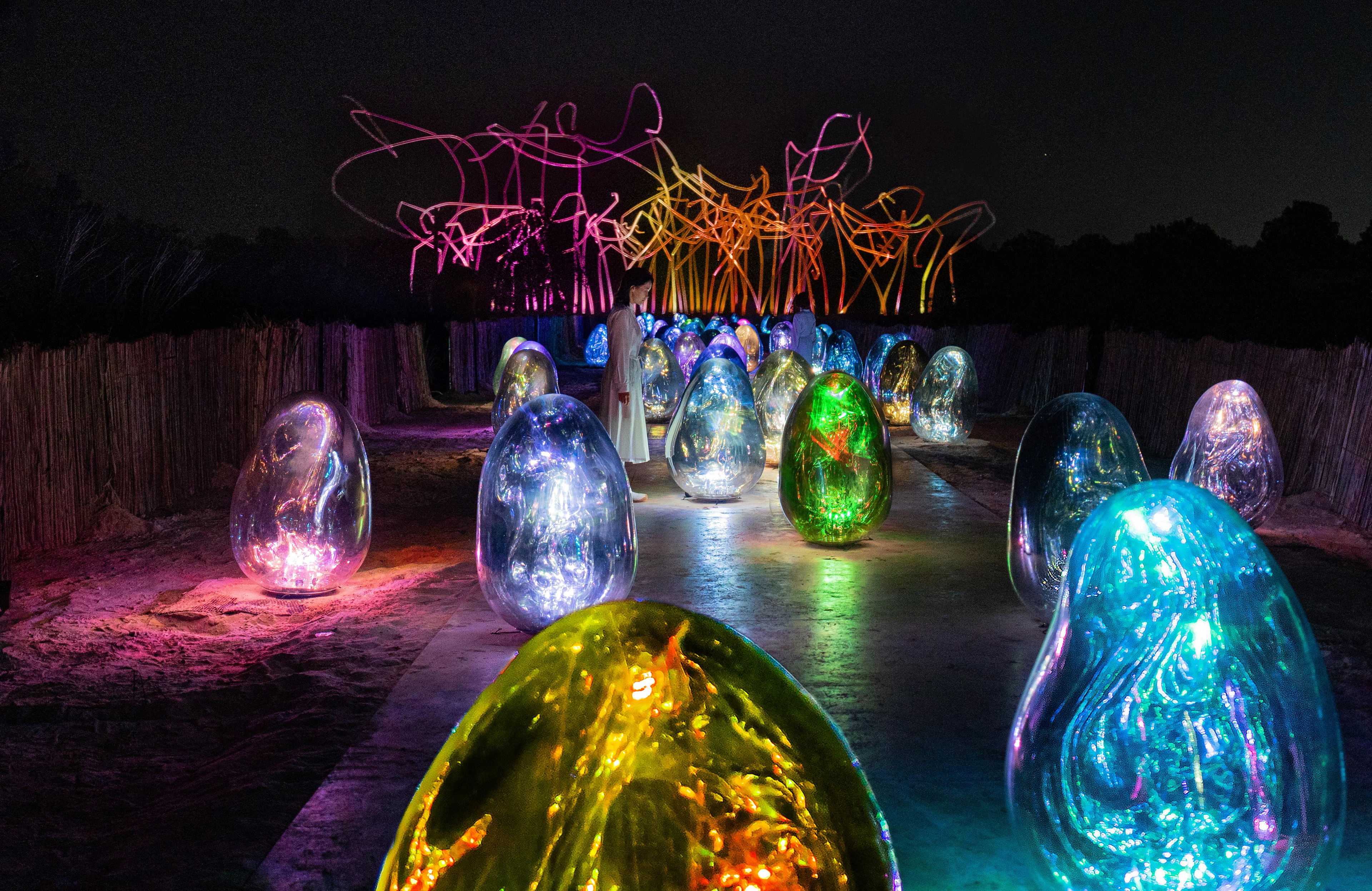 展示テーマ画像