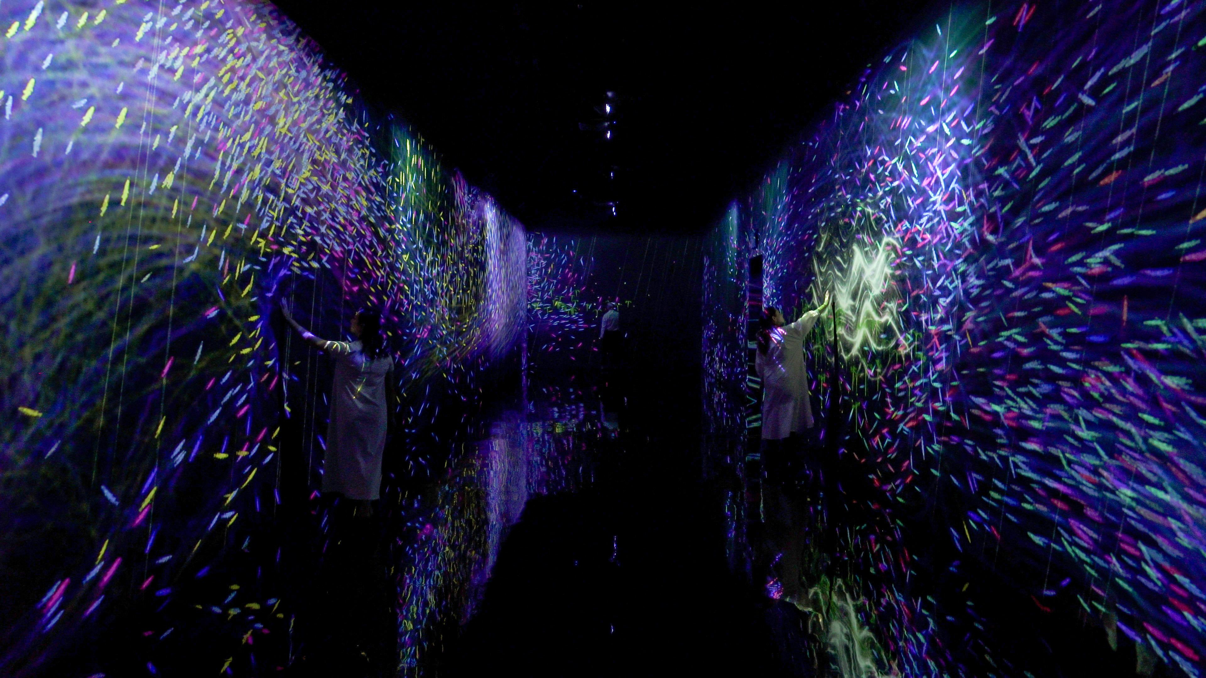 展示テーマ画像