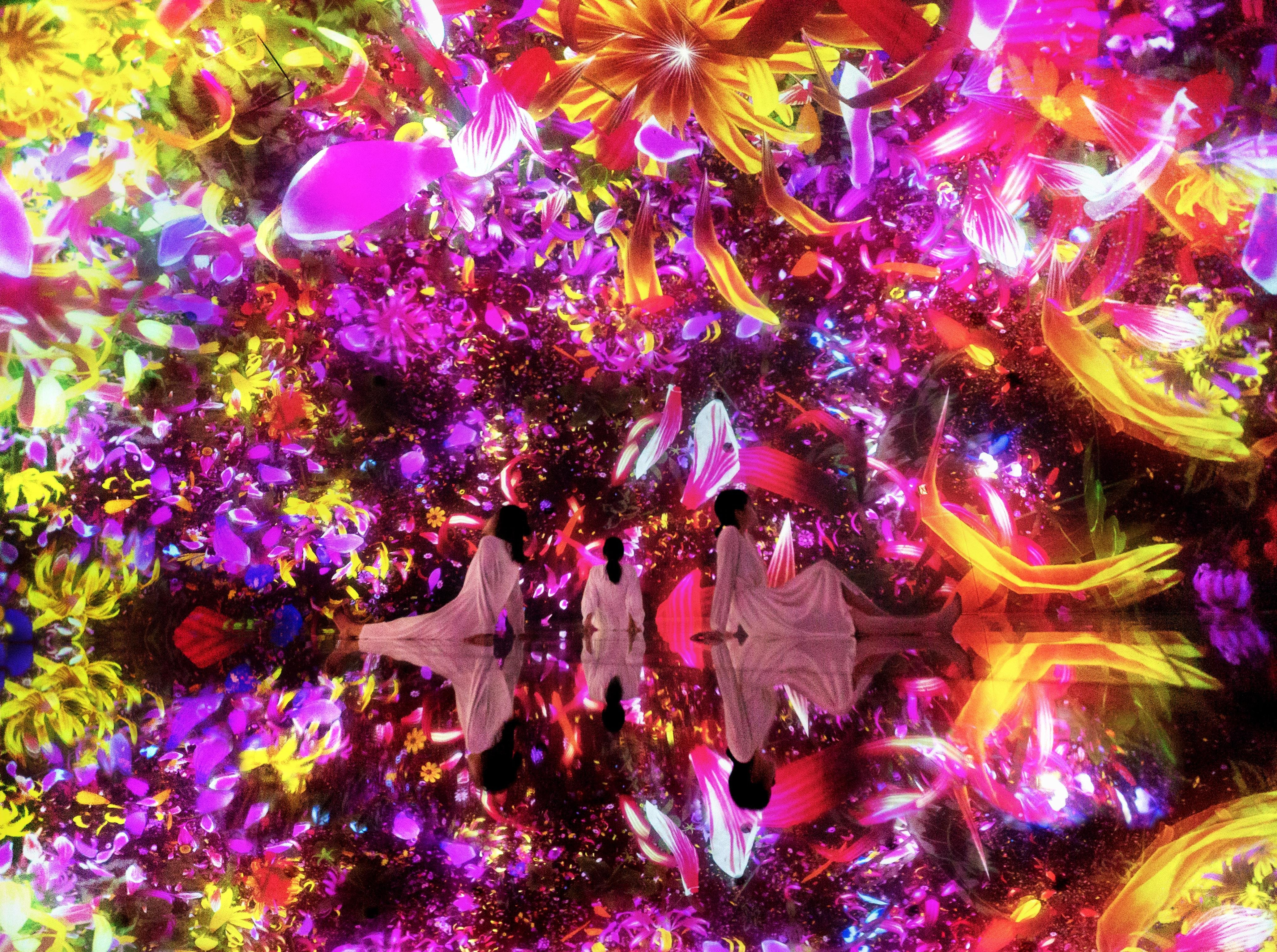 Floating in the Falling Universe of Flowers | teamLab / チームラボ