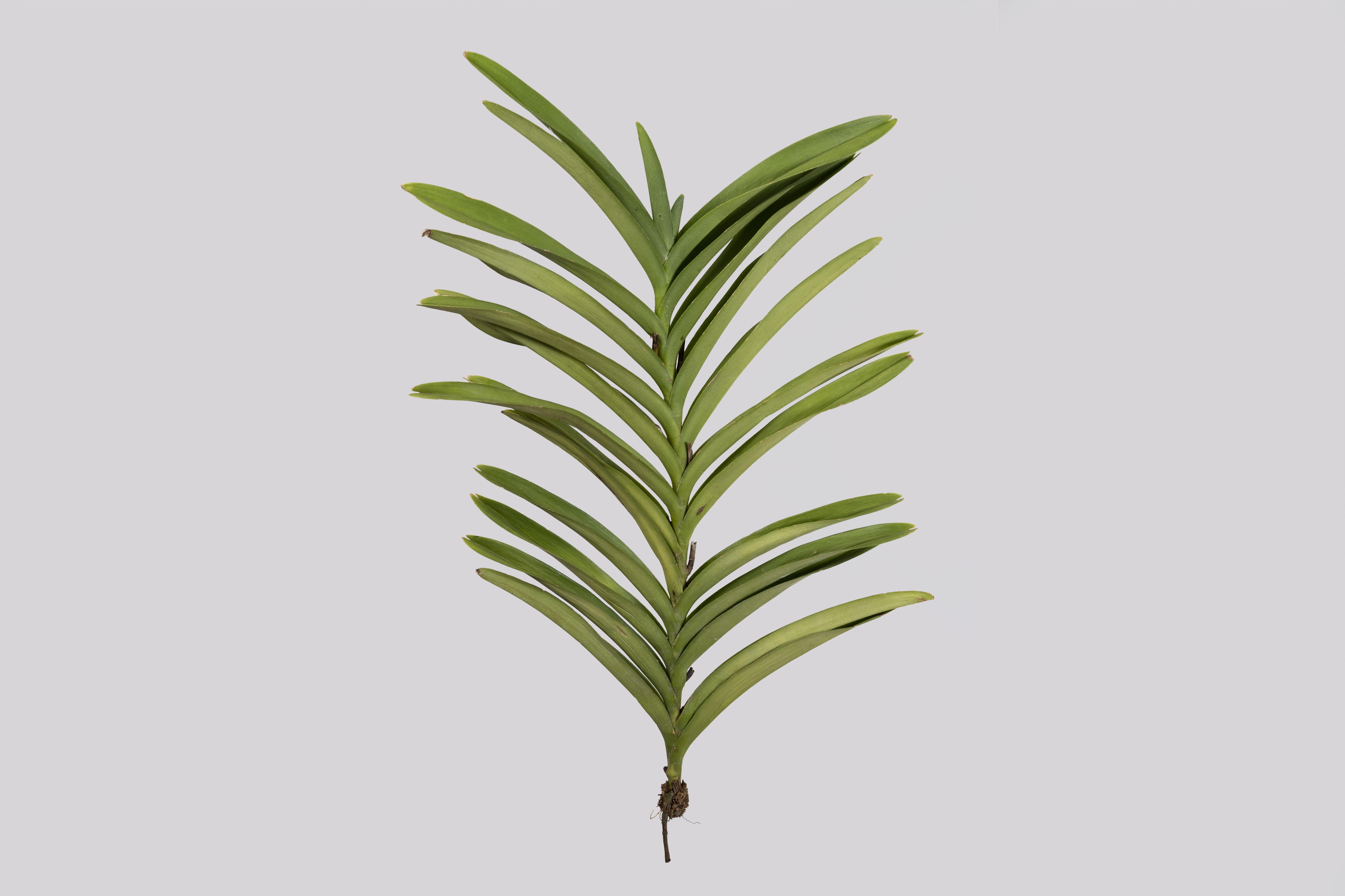 展示テーマ画像