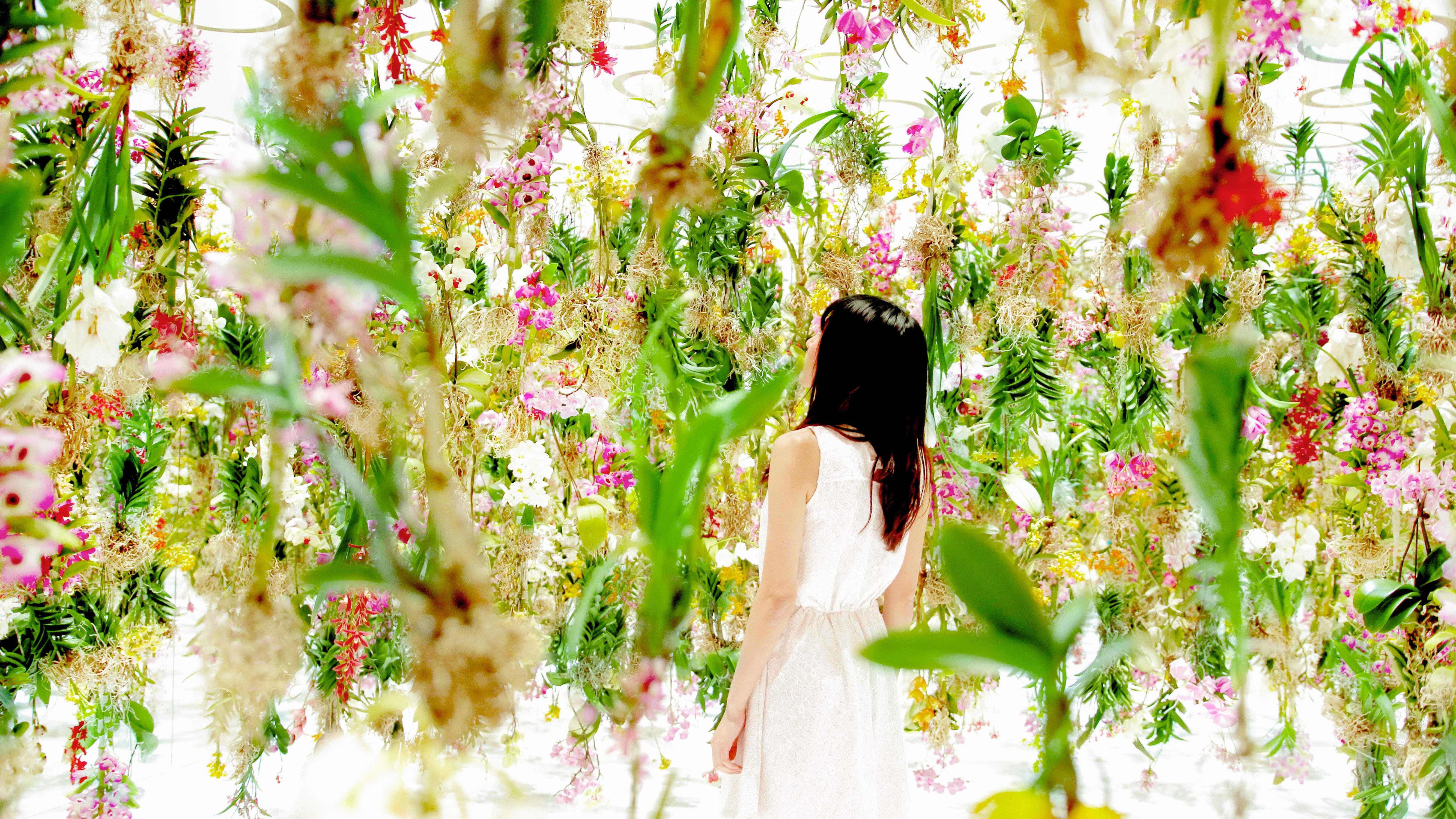 Floating Flower Garden: Flowers and I are of the Same Root, the