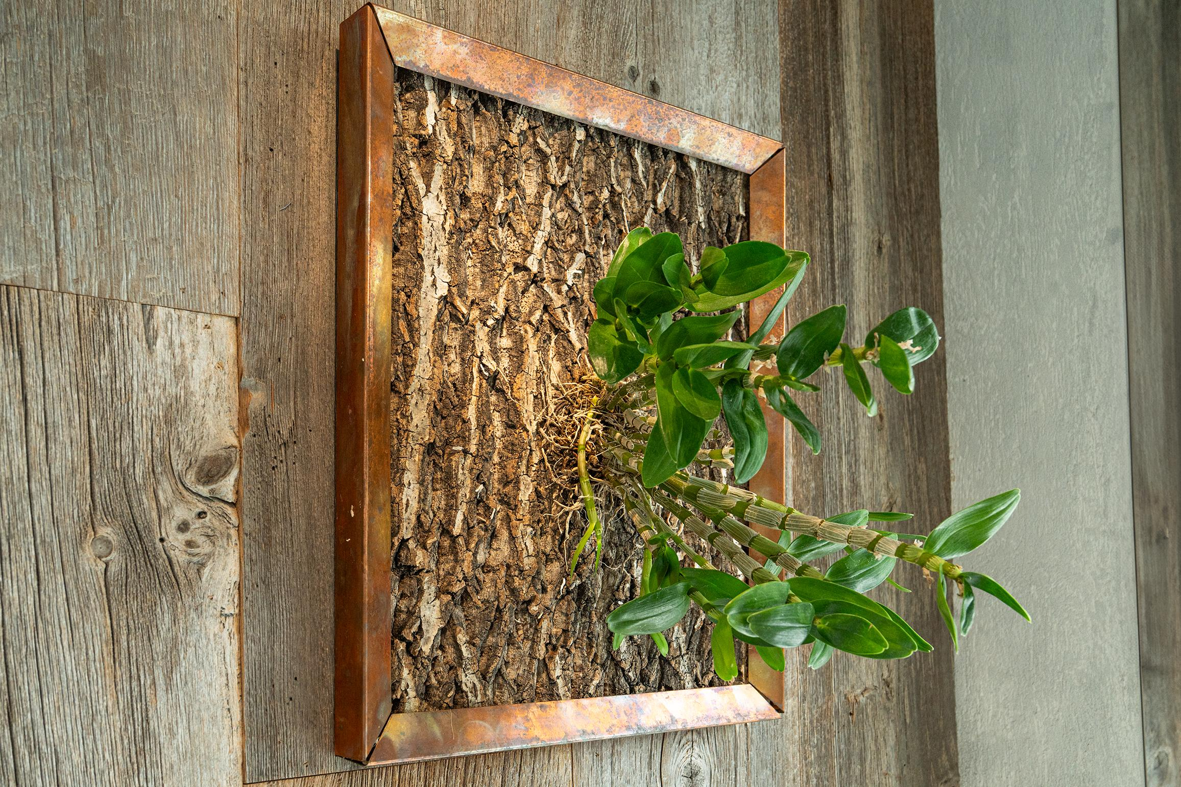 展示テーマ画像