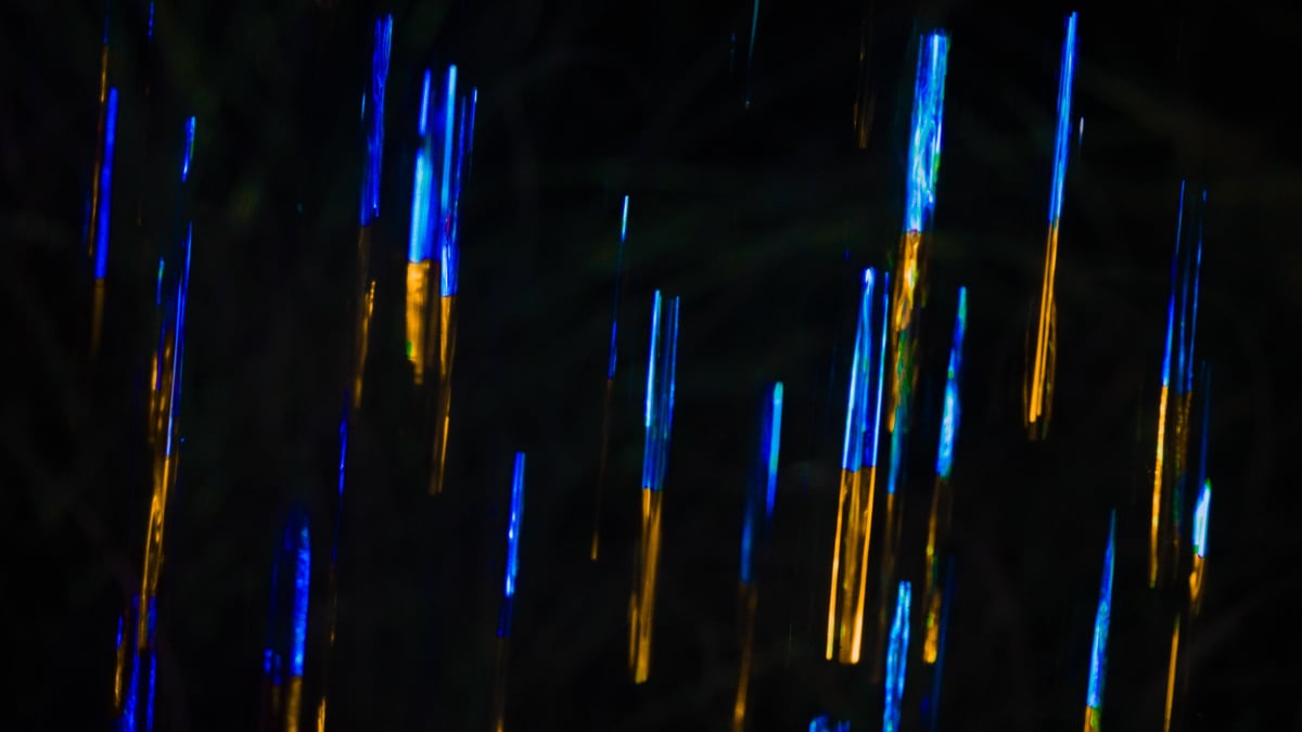 width=1200,format=jpeg