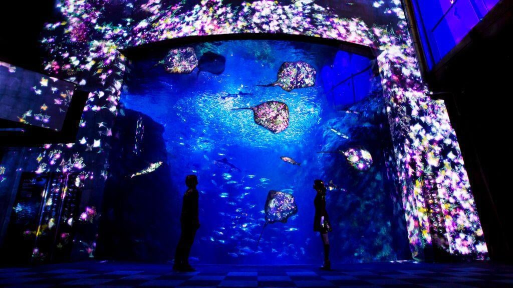 Enosui × teamLab Night Wonder Aquarium | teamLab