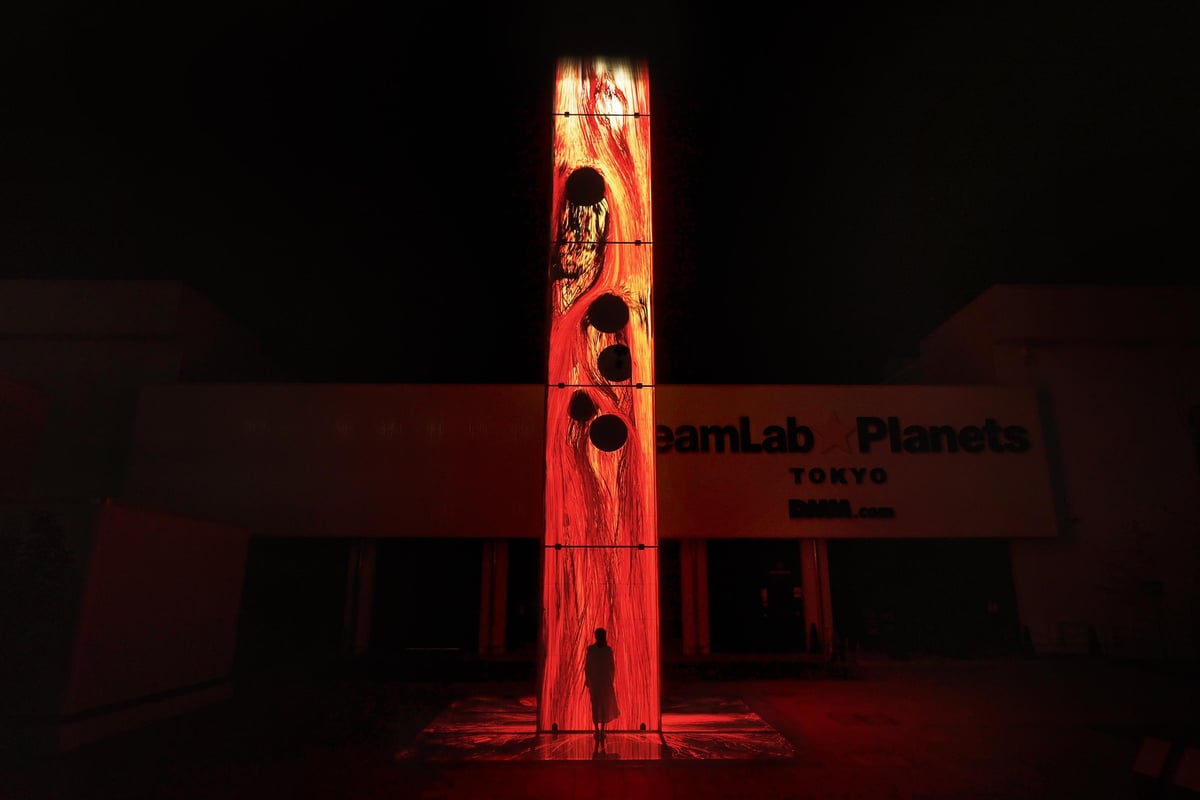 空と地に憑依する炎 / Universe of Fire Particles Haunting the Sky and Earth | teamLab / チームラボ