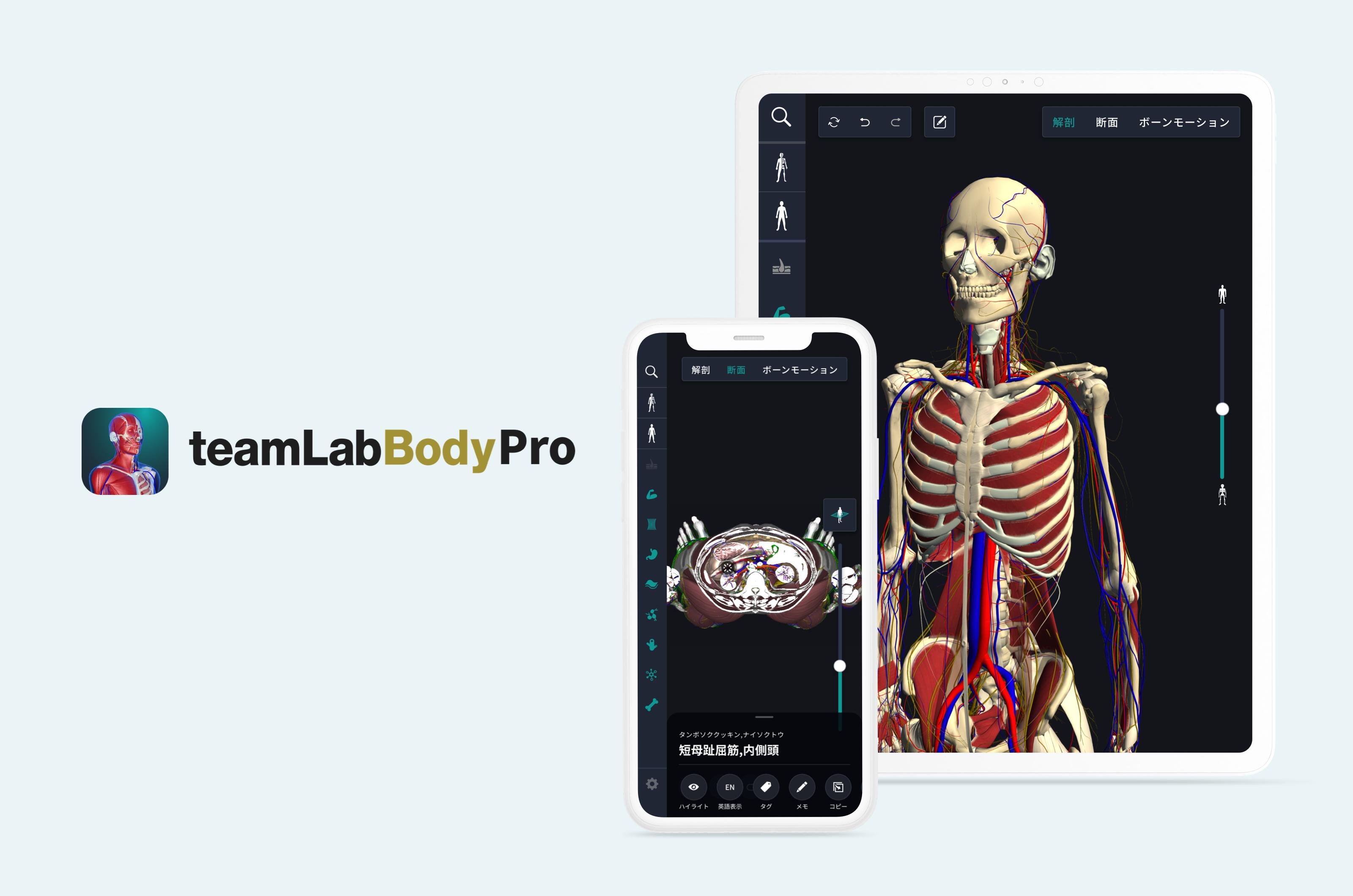 teamLabBody Pro