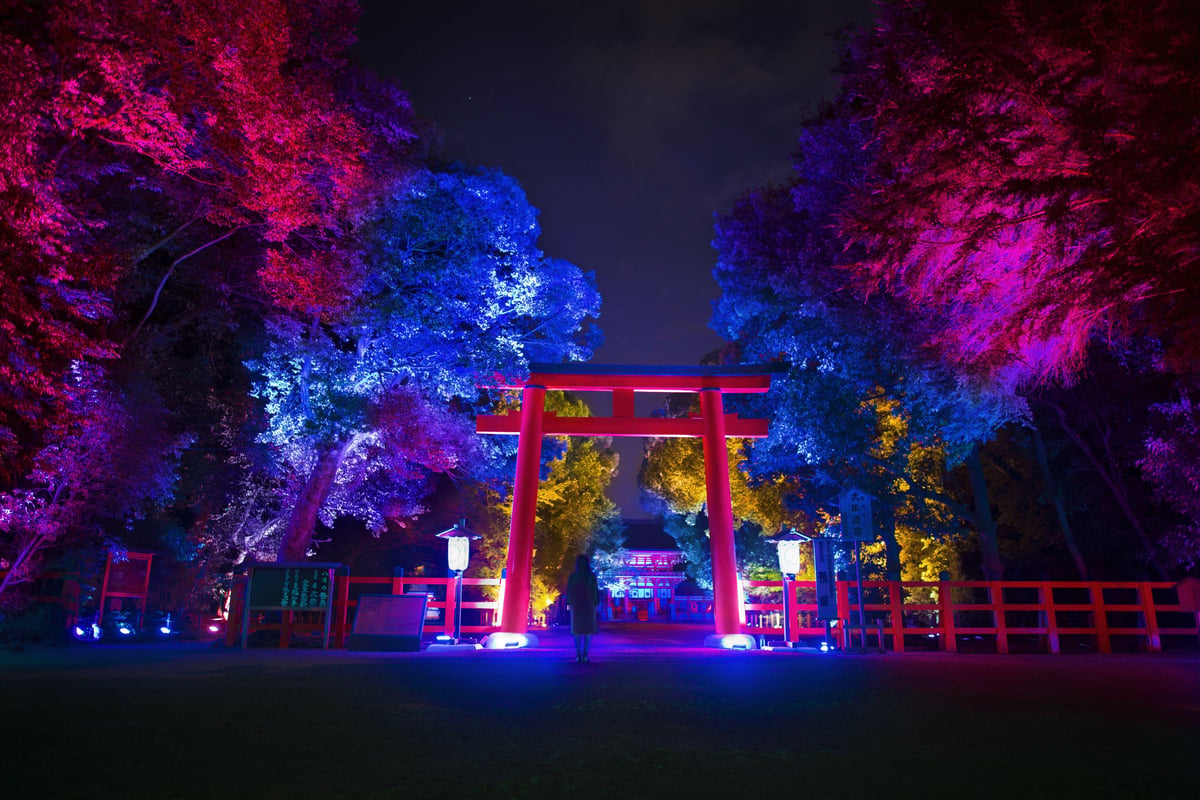 Resonating Trees – Forest of Tadasu at Shimogamo Shrine | teamLab