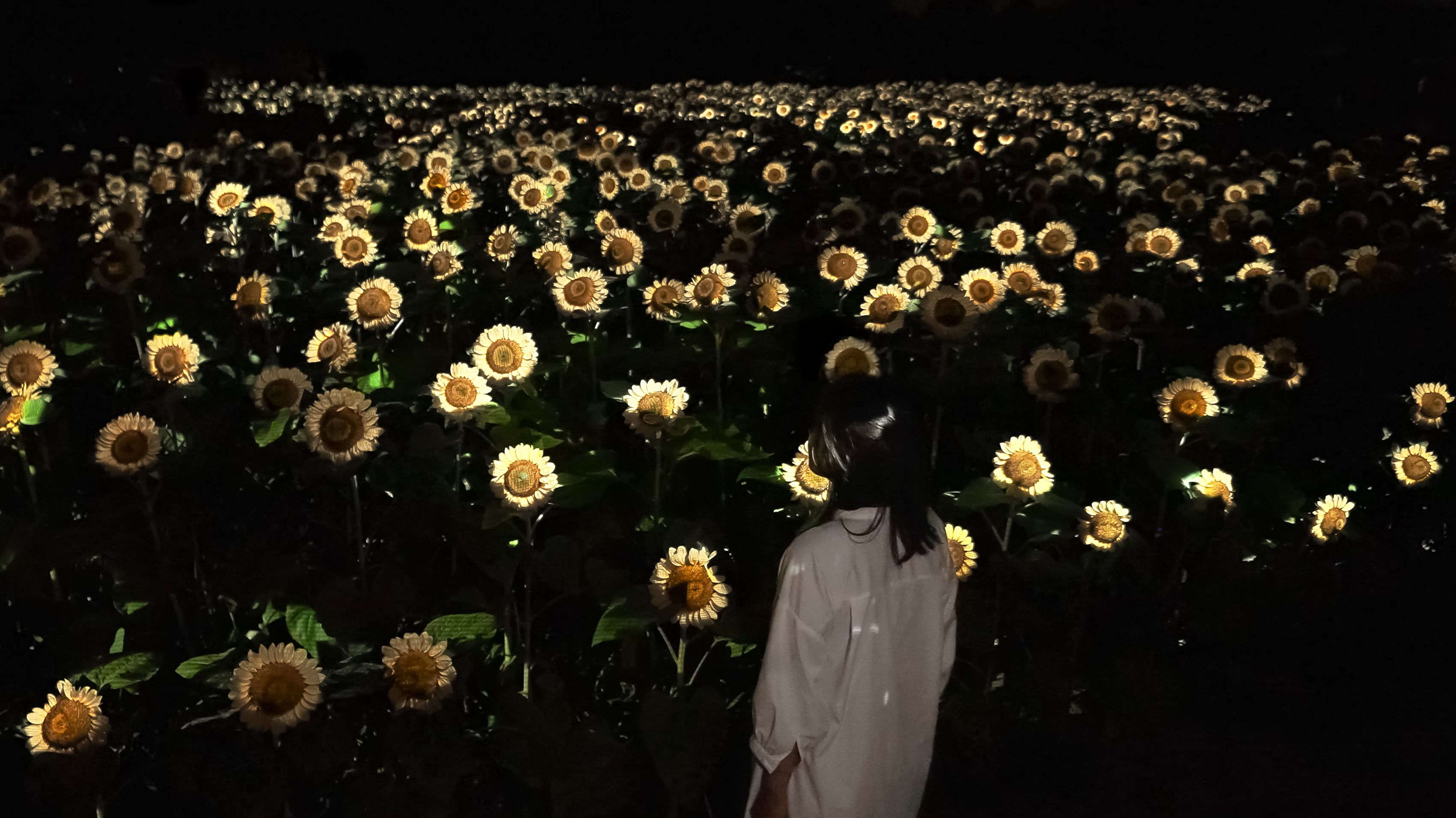 新着作品展示画像