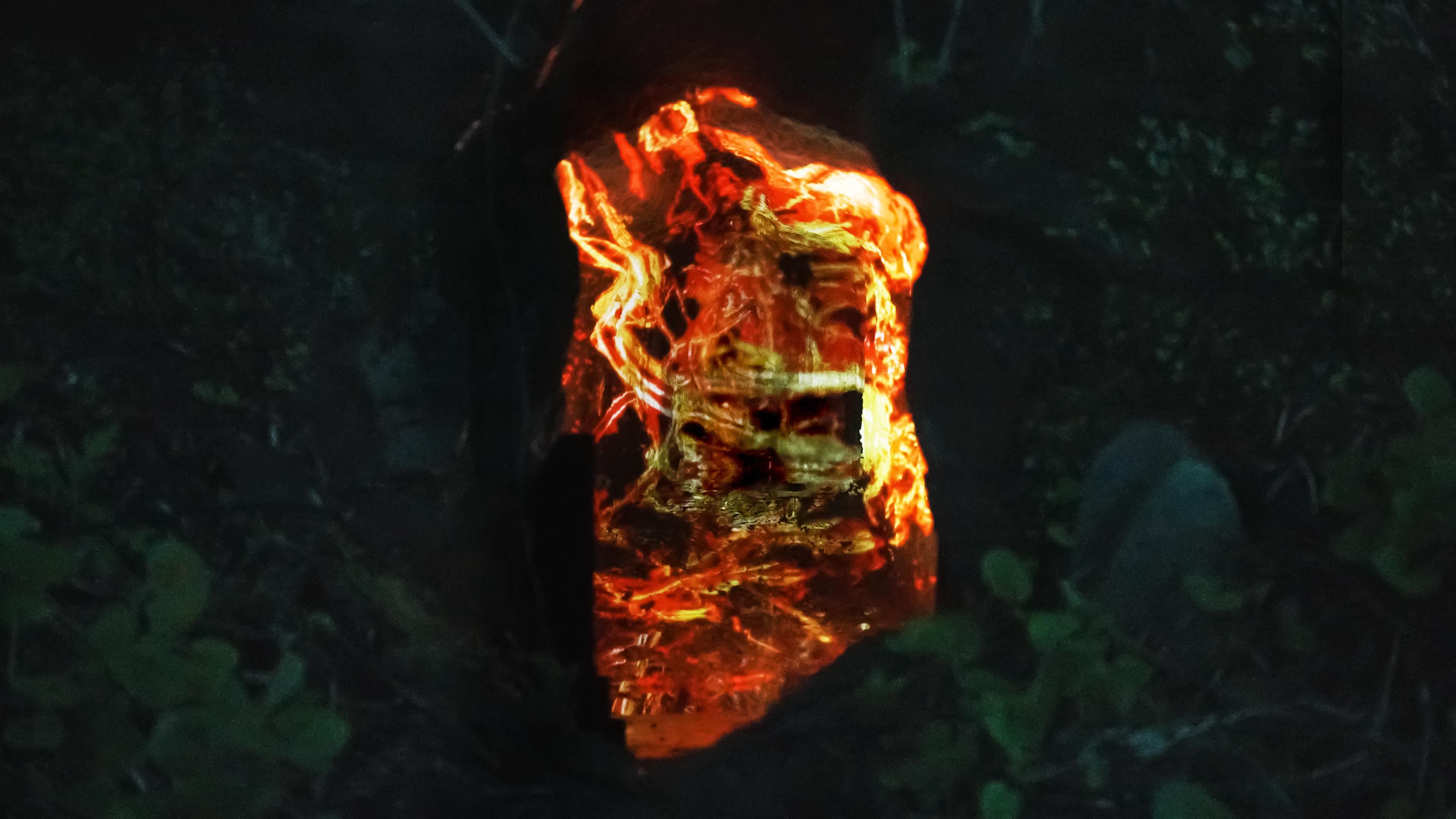 展示テーマ画像