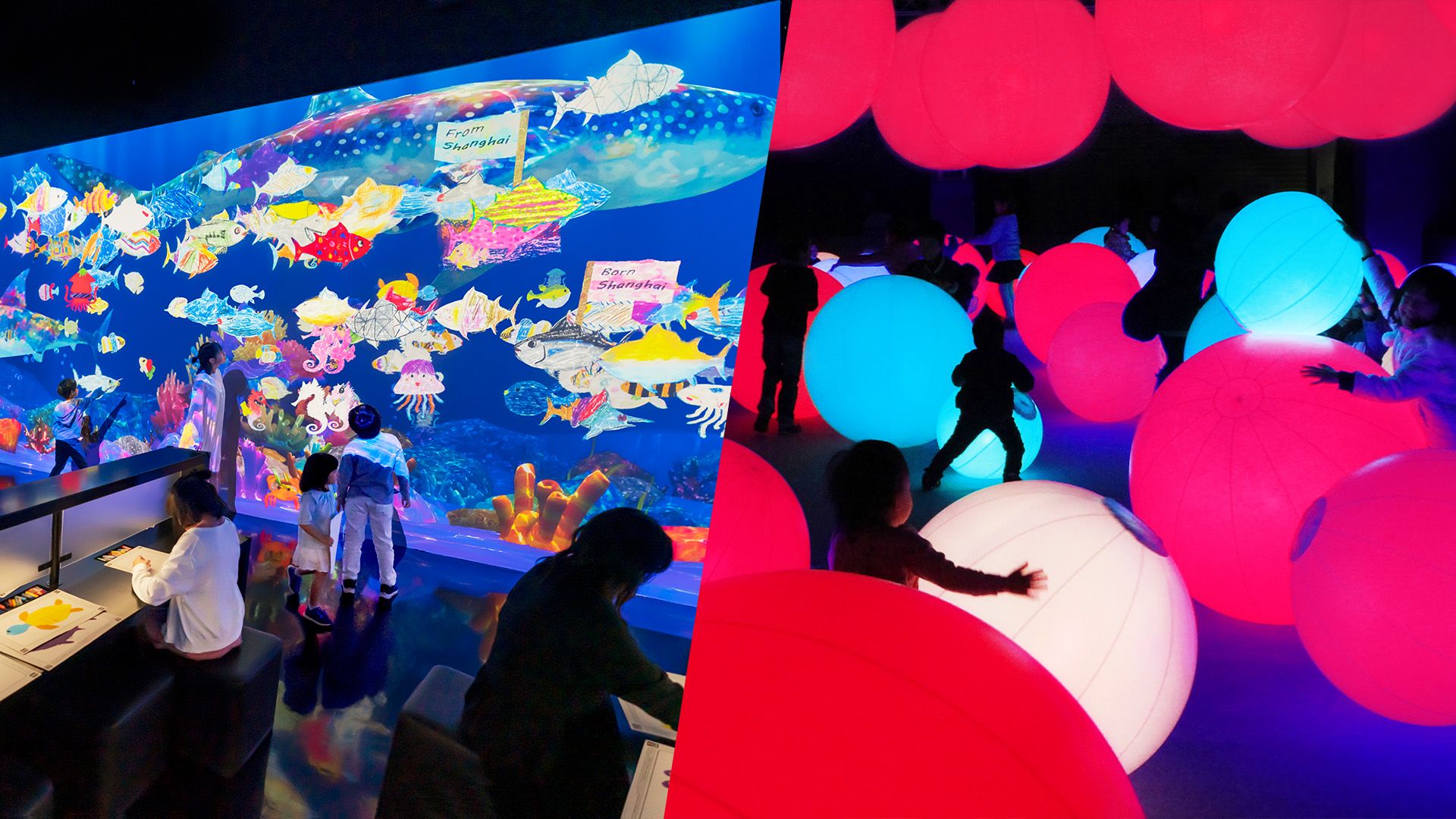 近くの展示画像