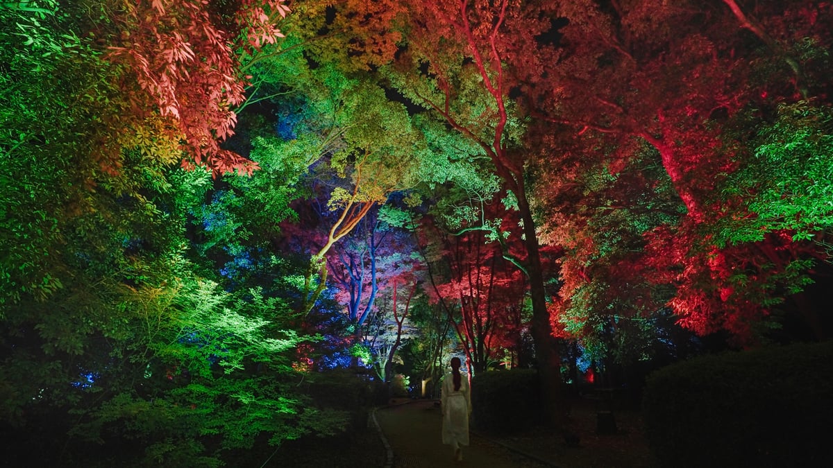 ツインバードのラスティック風オブジェ 呼応する木々 / Resonating Trees | teamLab / チームラボ