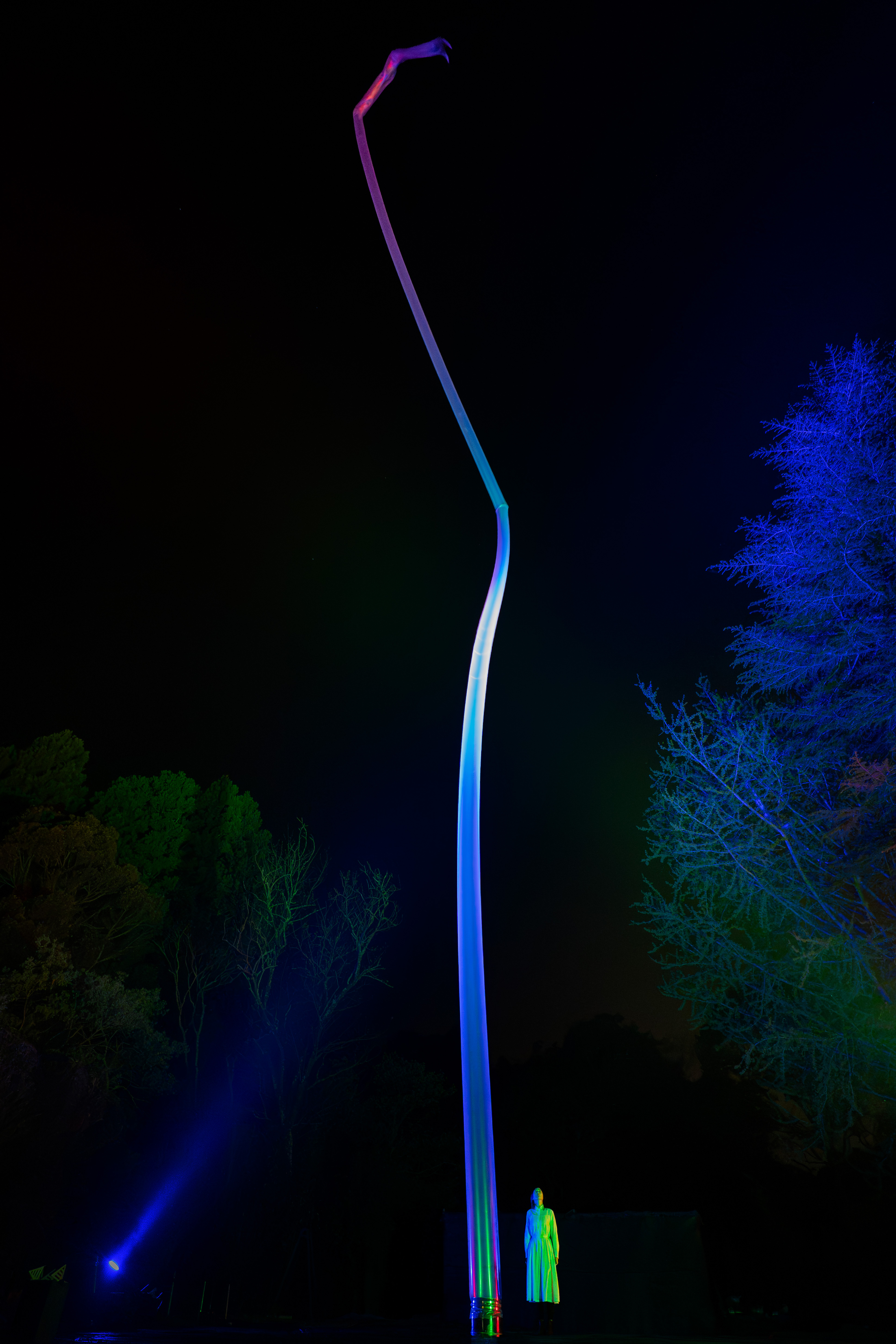 展示テーマ画像