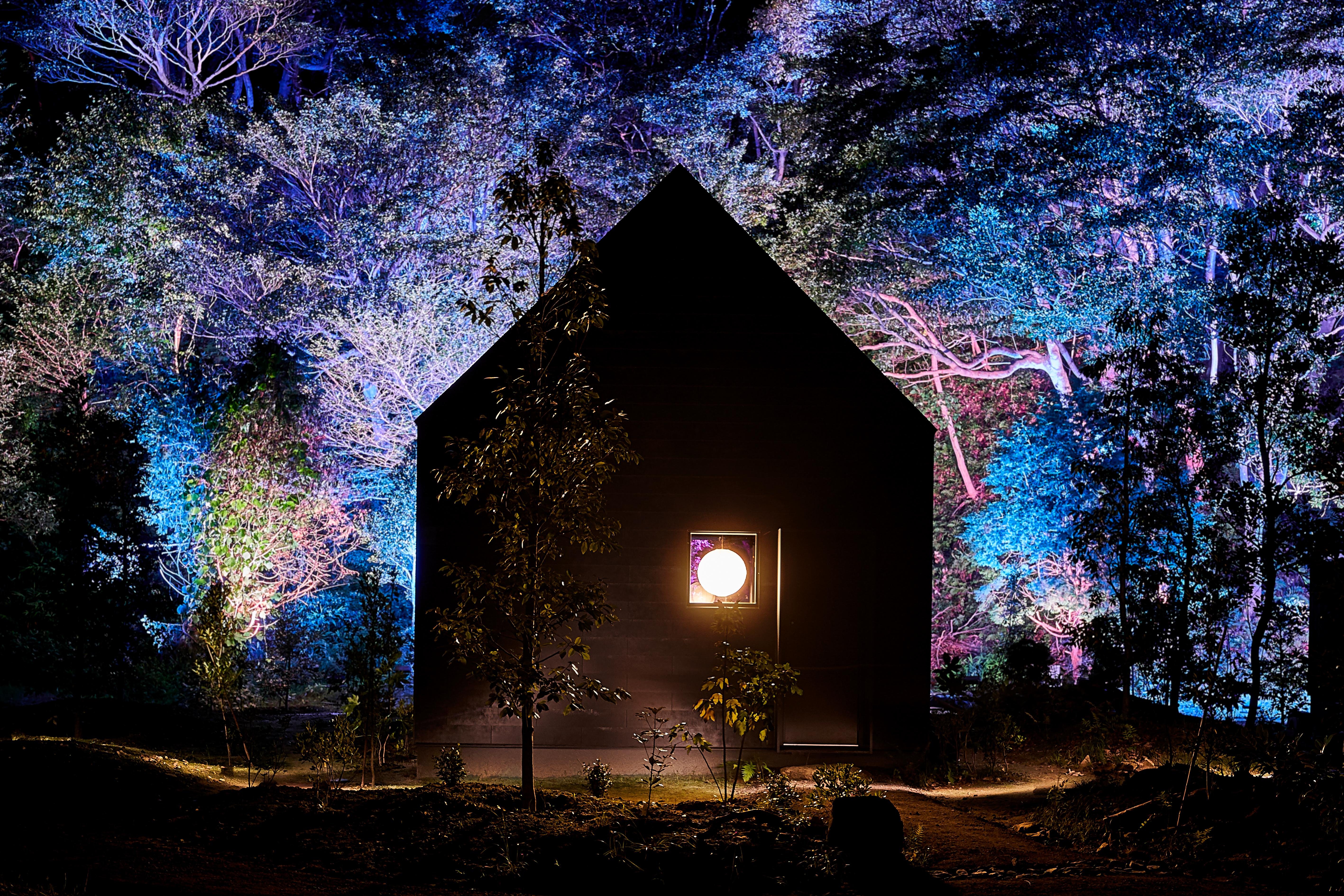 Hidden Traces of Rice Terraces Hot Spring-Izura | teamLab