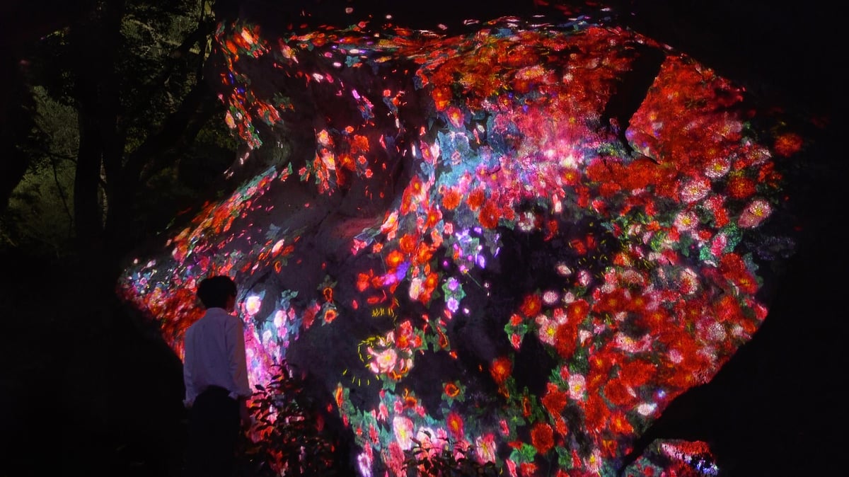 増殖する生命の巨石 / Ever Blossoming Life Rock | teamLab / チームラボ