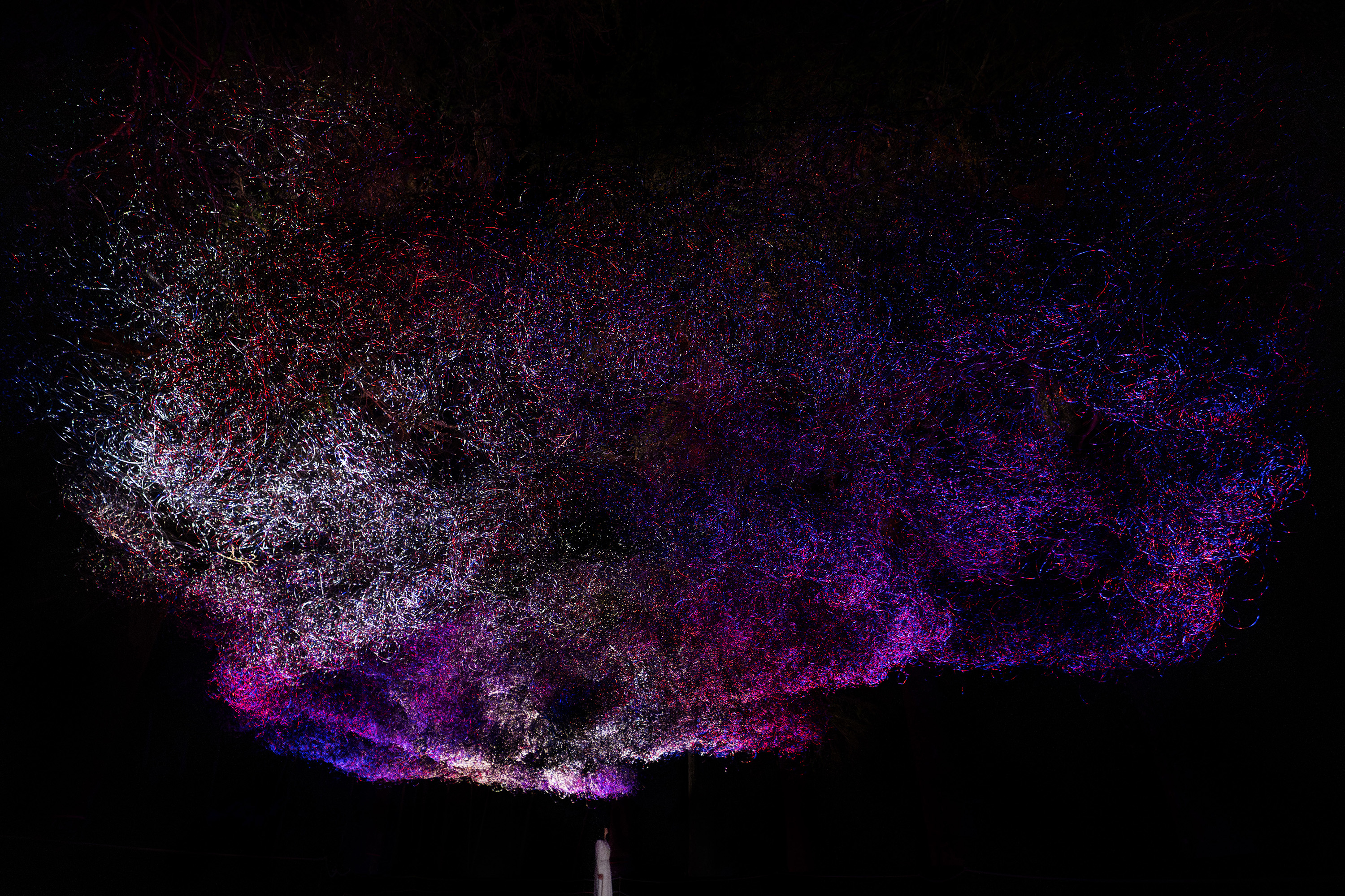 展示テーマ画像