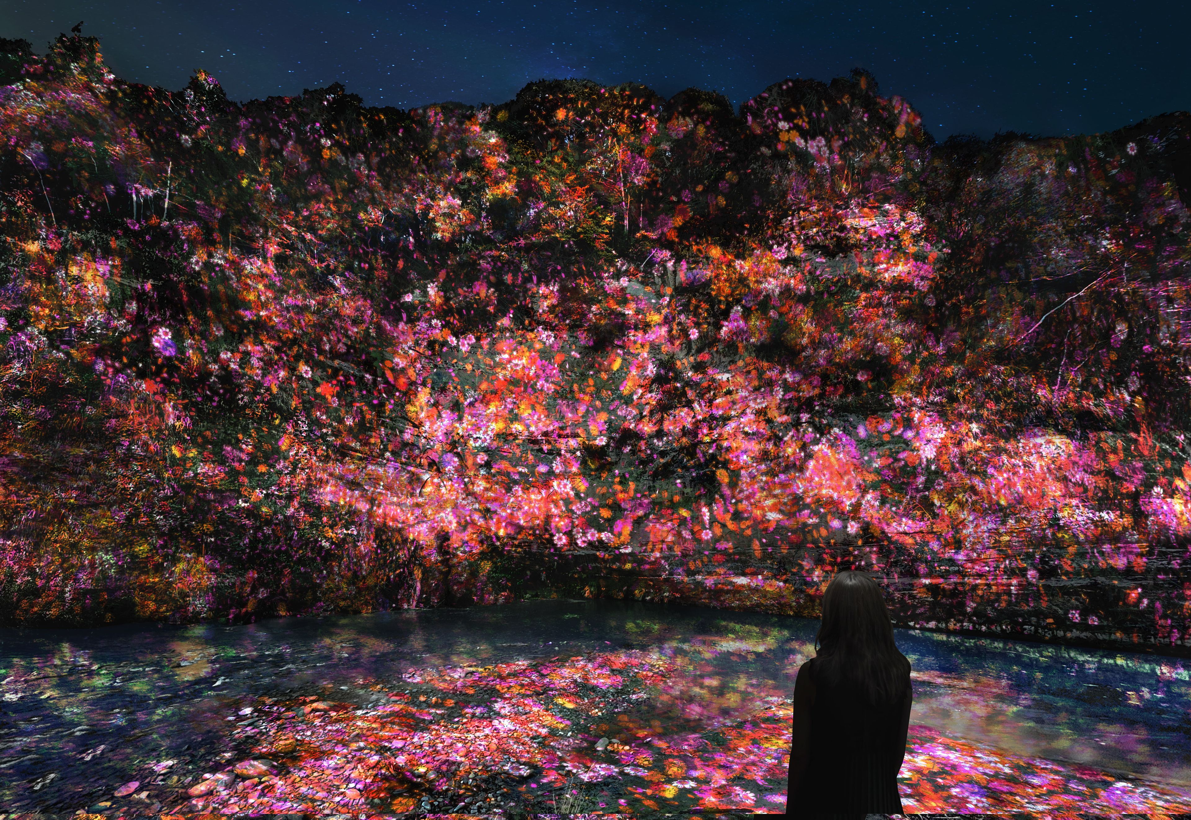 近くの展示画像