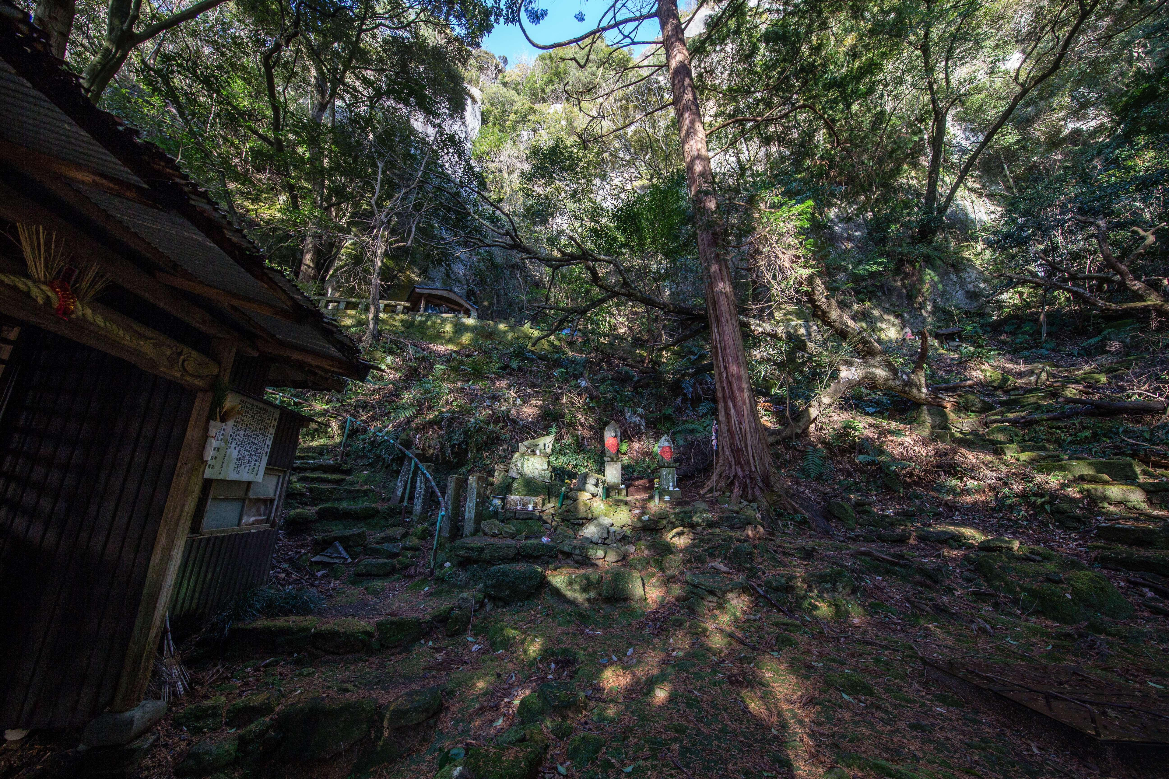 展示テーマ画像