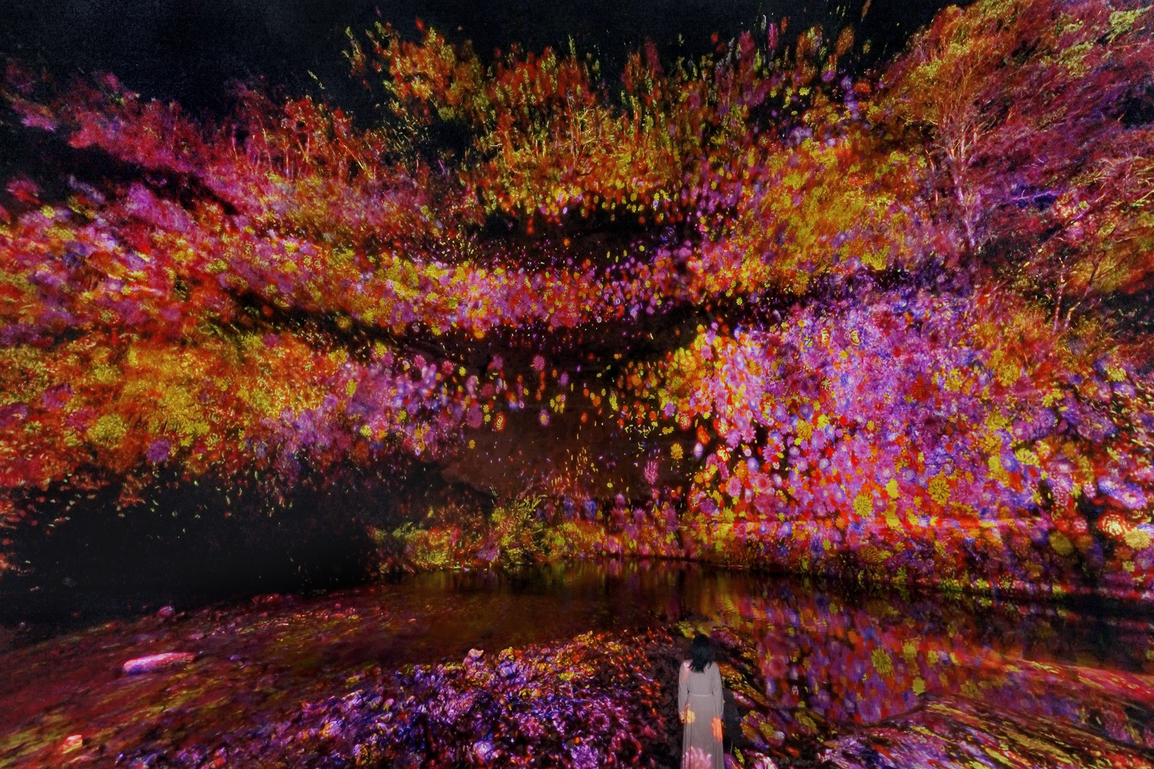 近くの展示画像