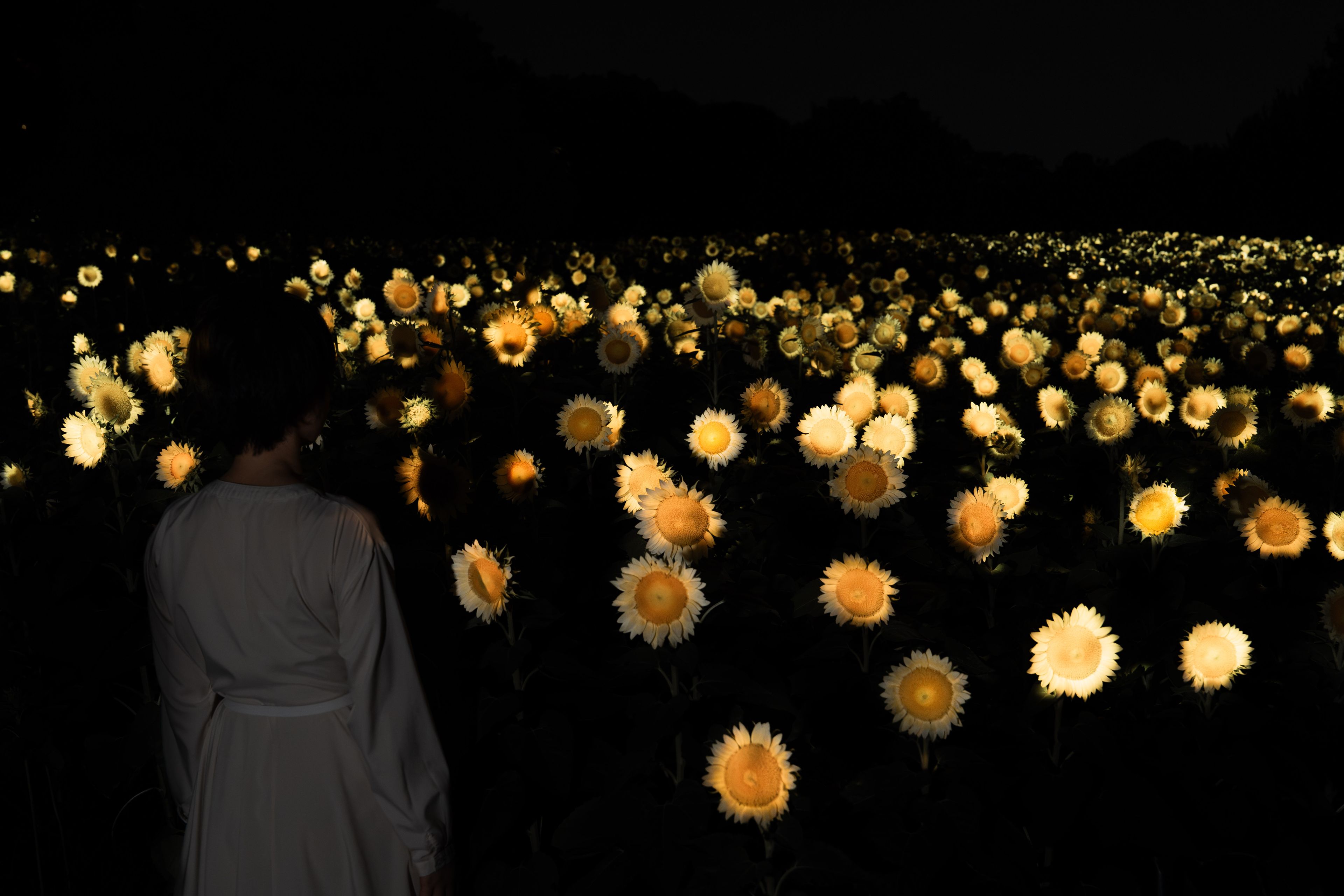 生命は、闇の中でまたたく小さな太陽 / Life is the Small Sun
