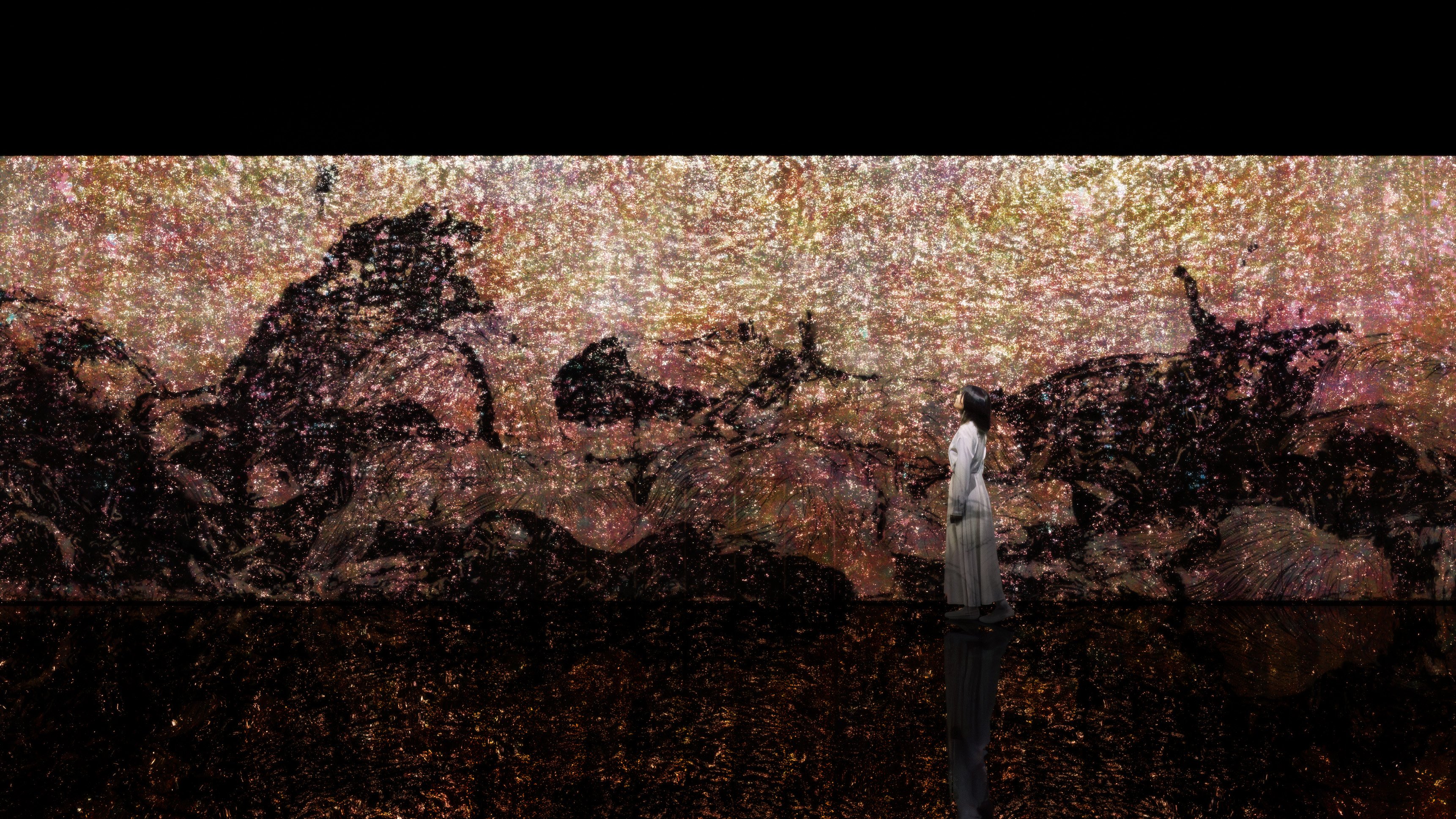 不可逆の世界 / The World of Irreversible Change | teamLab / チームラボ