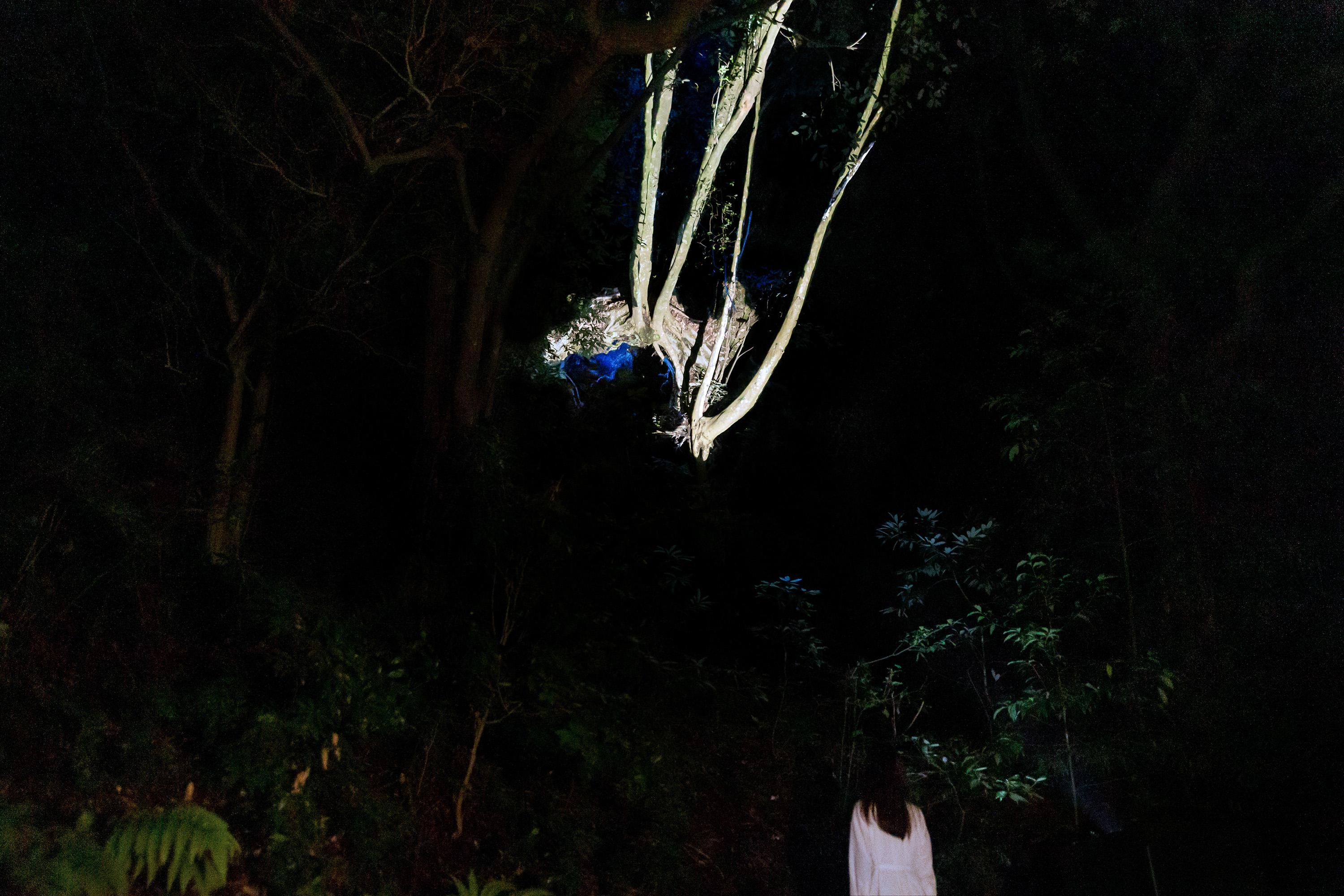 展示テーマ画像