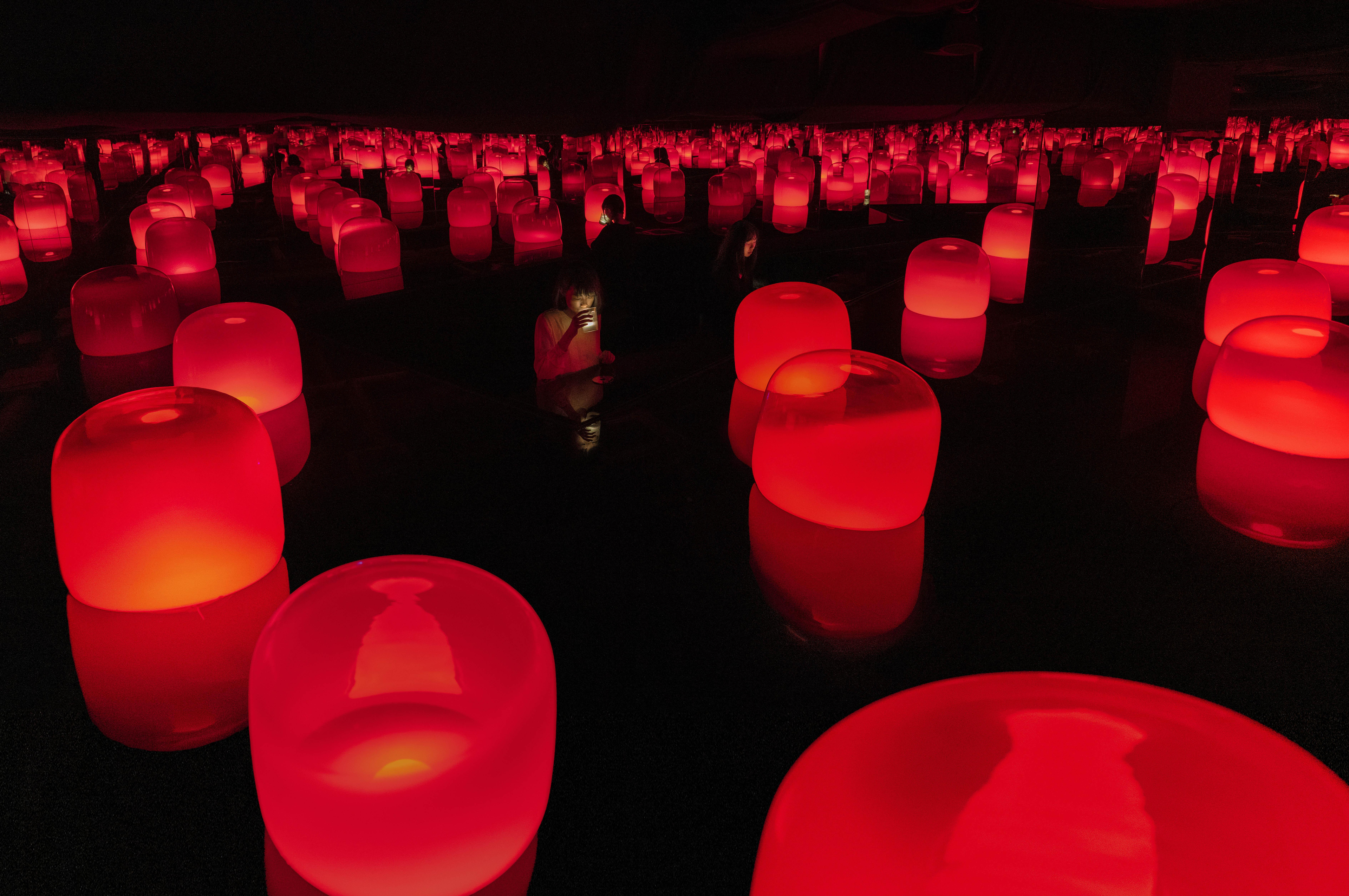 展示テーマ画像