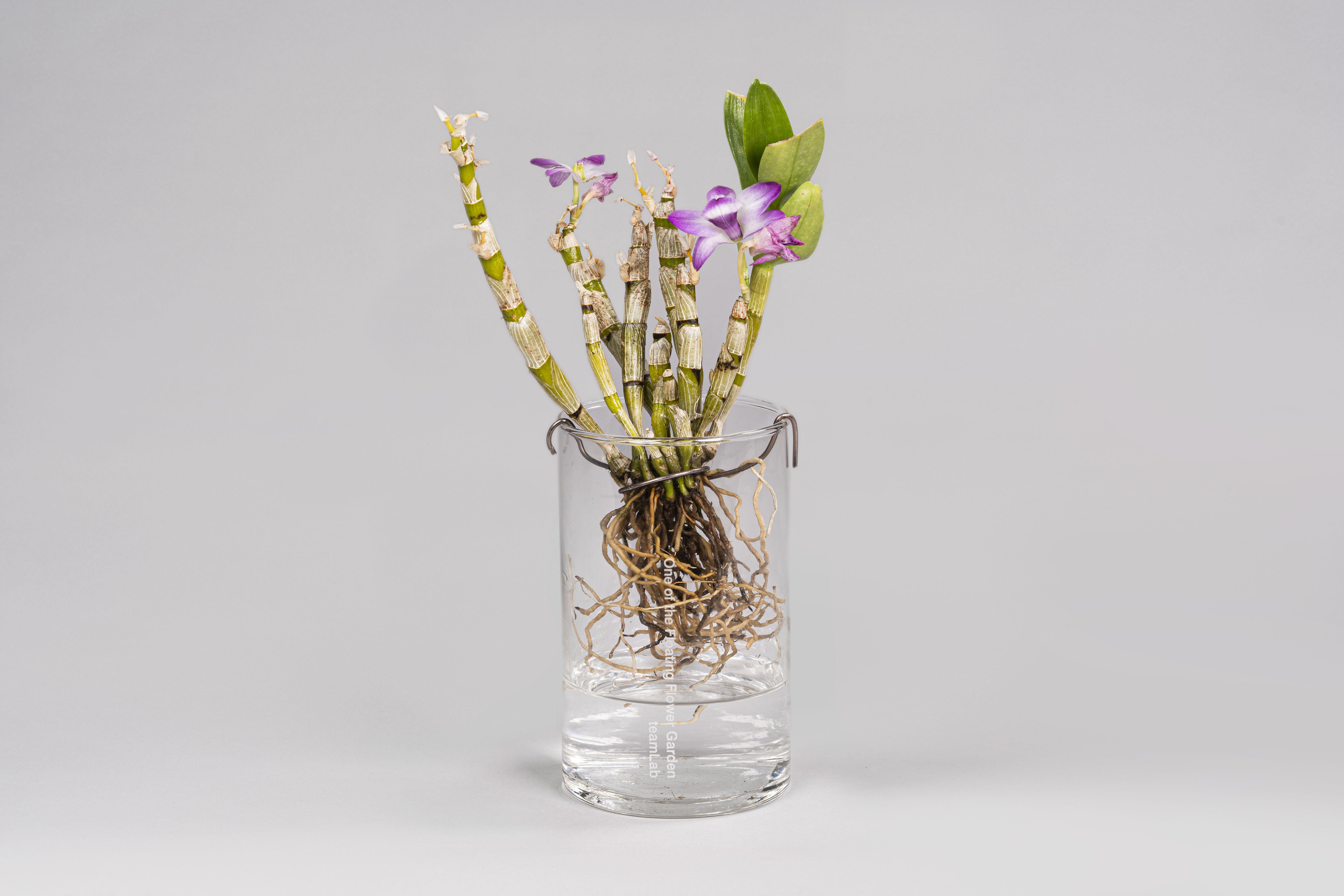 展示テーマ画像