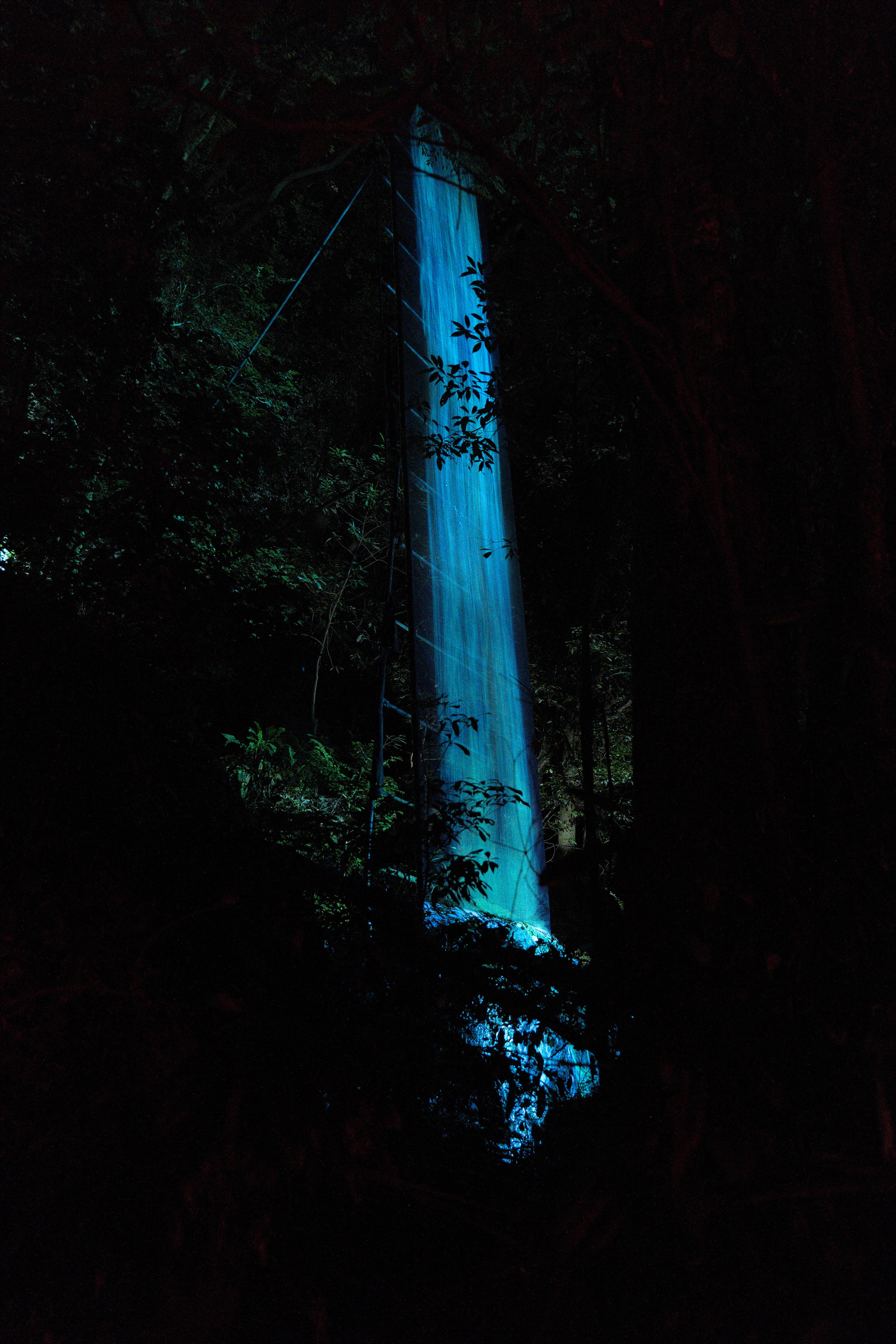 展示テーマ画像