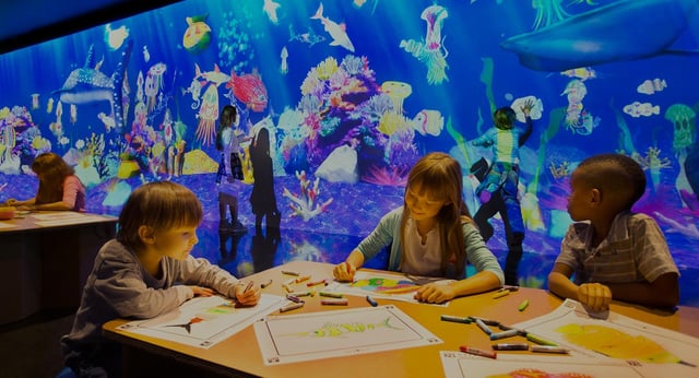 teamLab IsLands: Dance! Art Museum, Learn & Play! Interactive