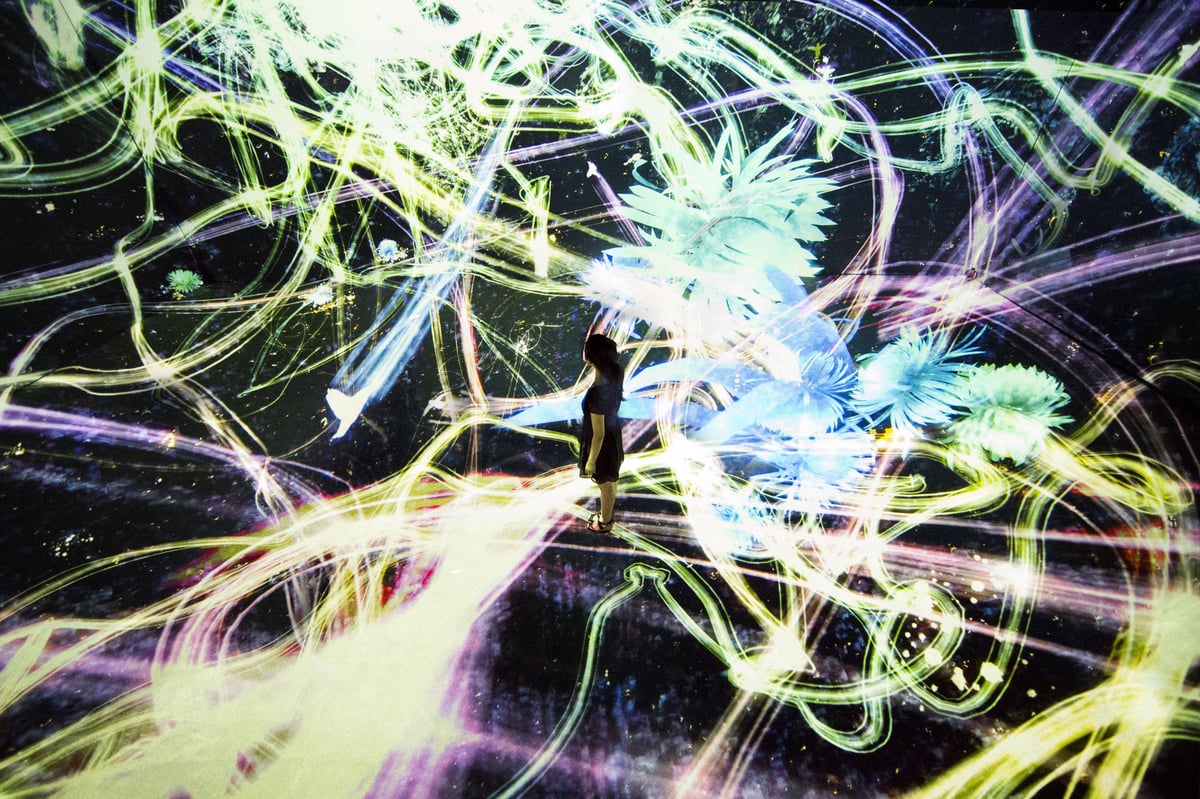 追われるカラス、追うカラスも追われるカラス、そして衝突して咲いて