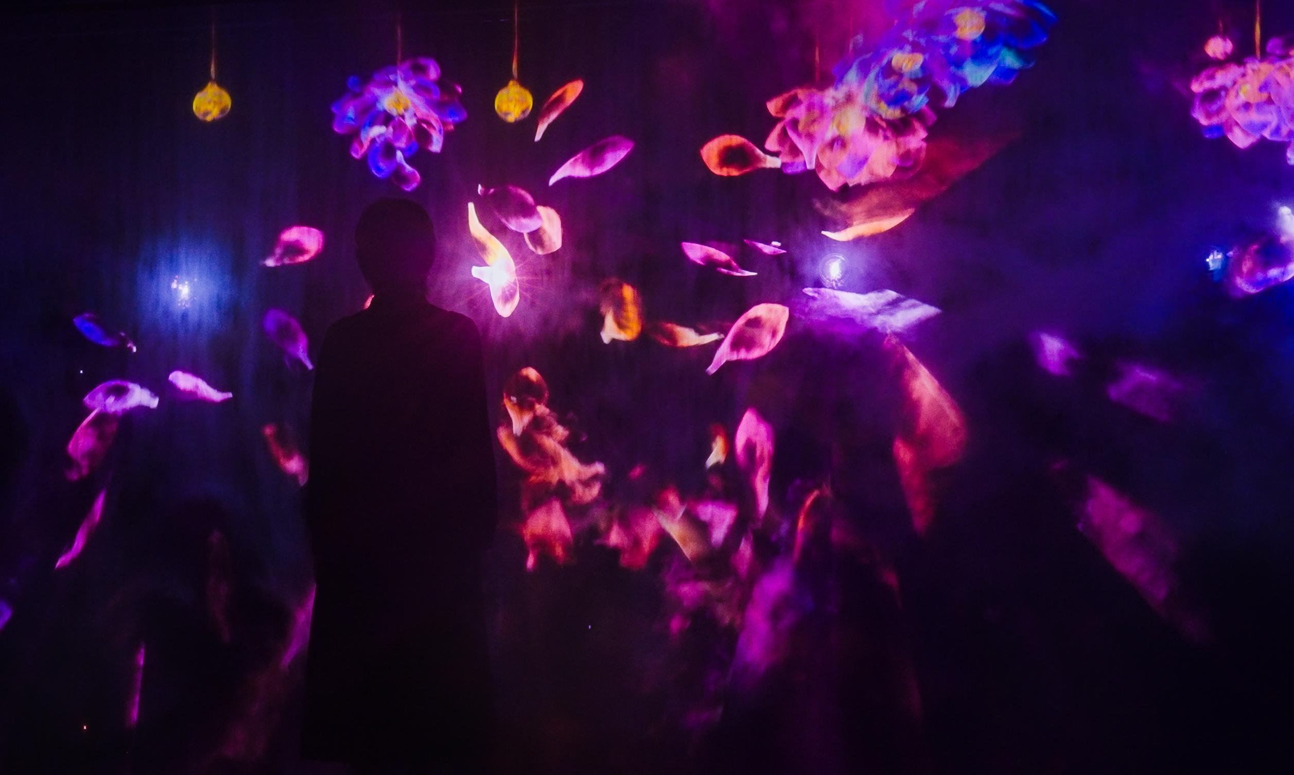蓮、散って世界に溶けていく / Lotus Flowers Scattering and